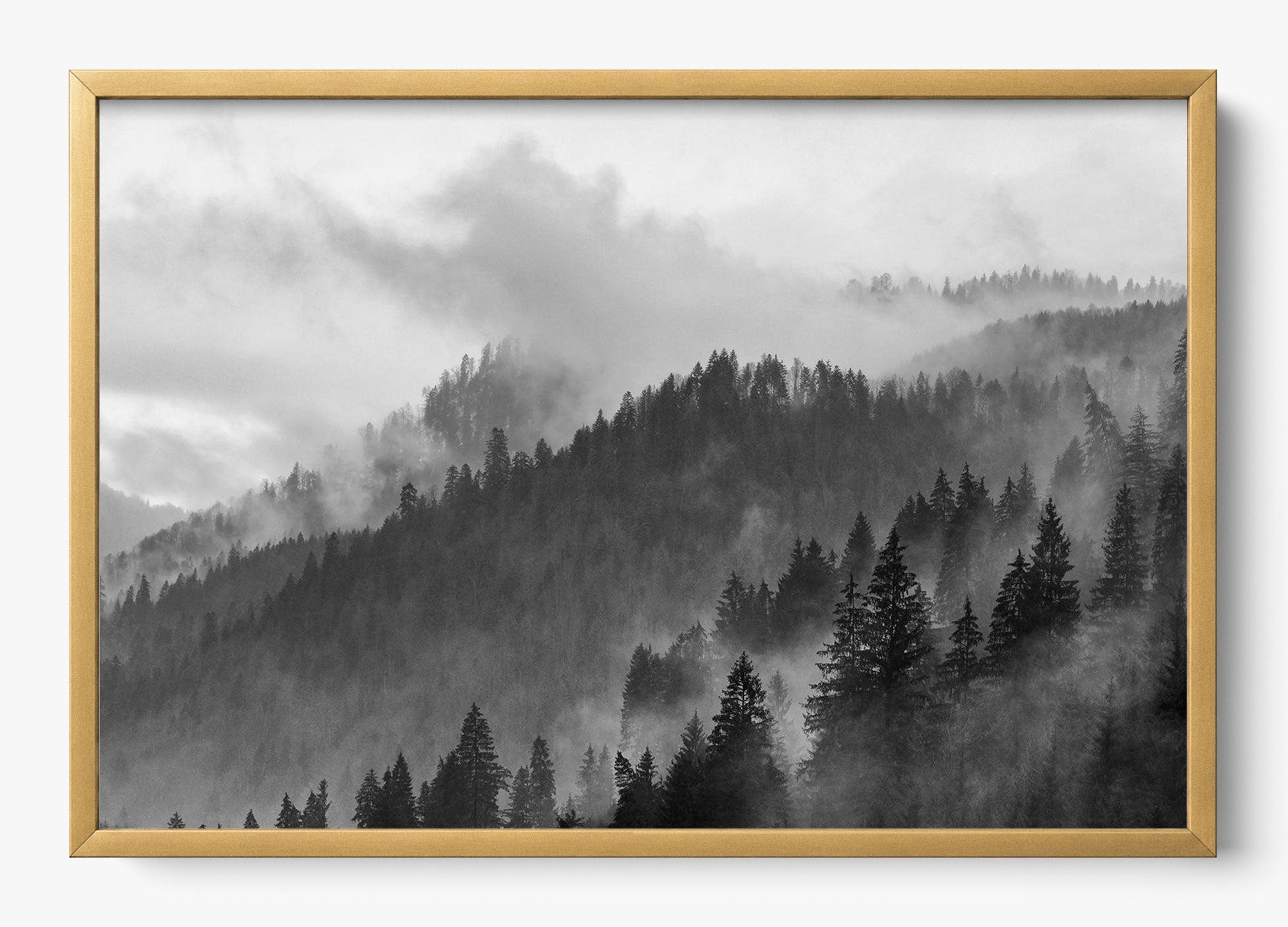 Grey Mountain