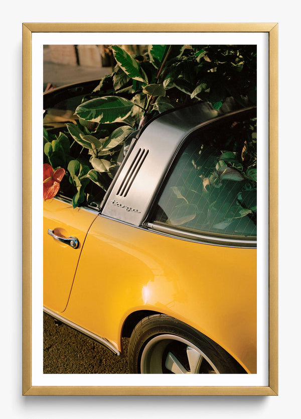 Mellow Yellow in a Gold frame