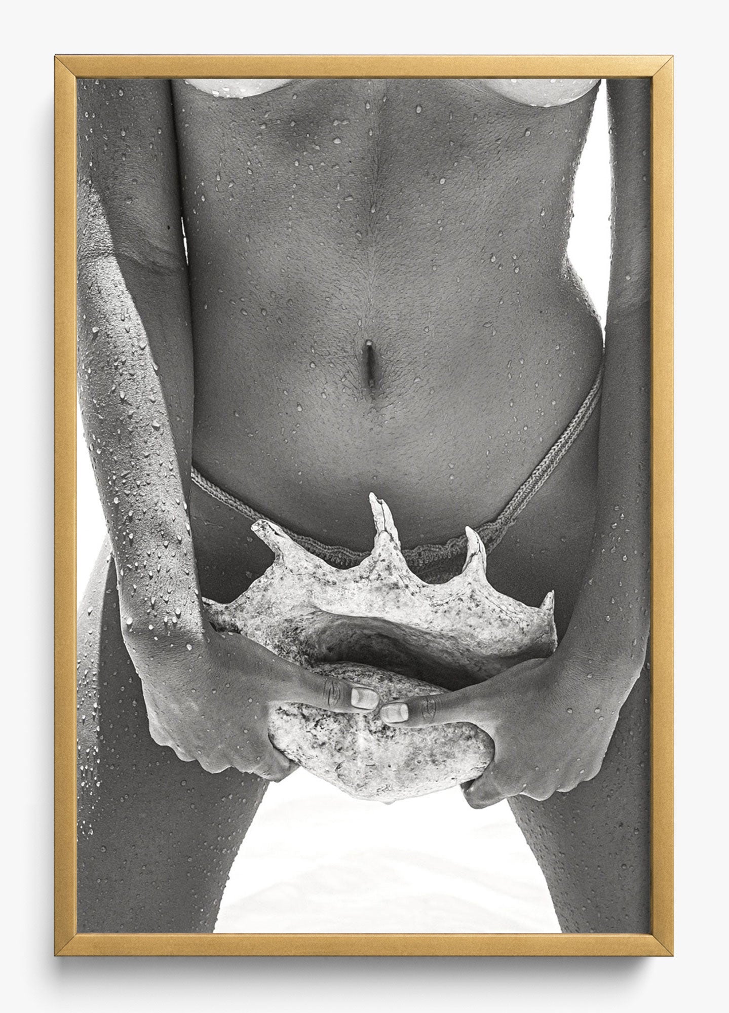 Her Seashell