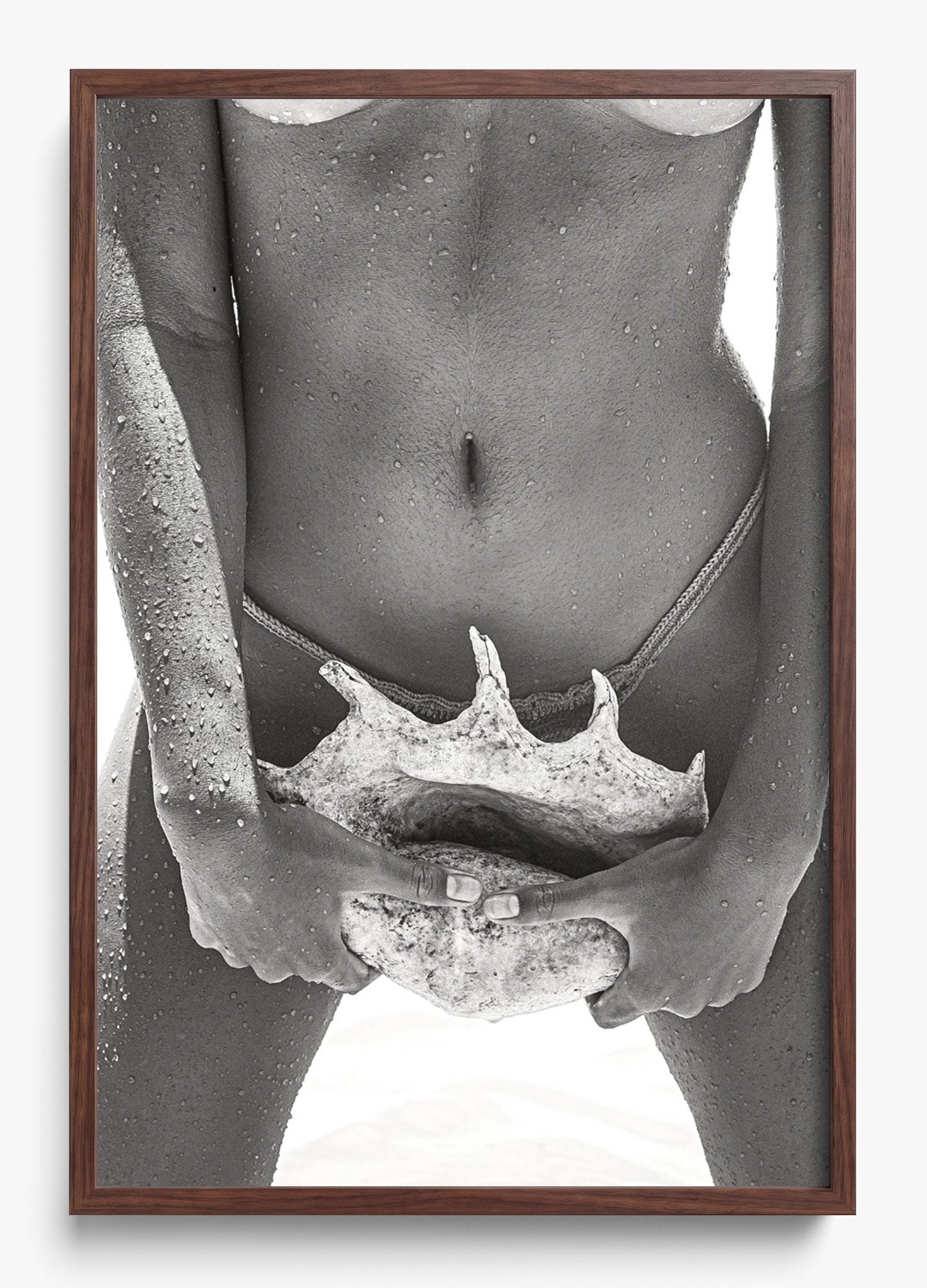 Her Seashell