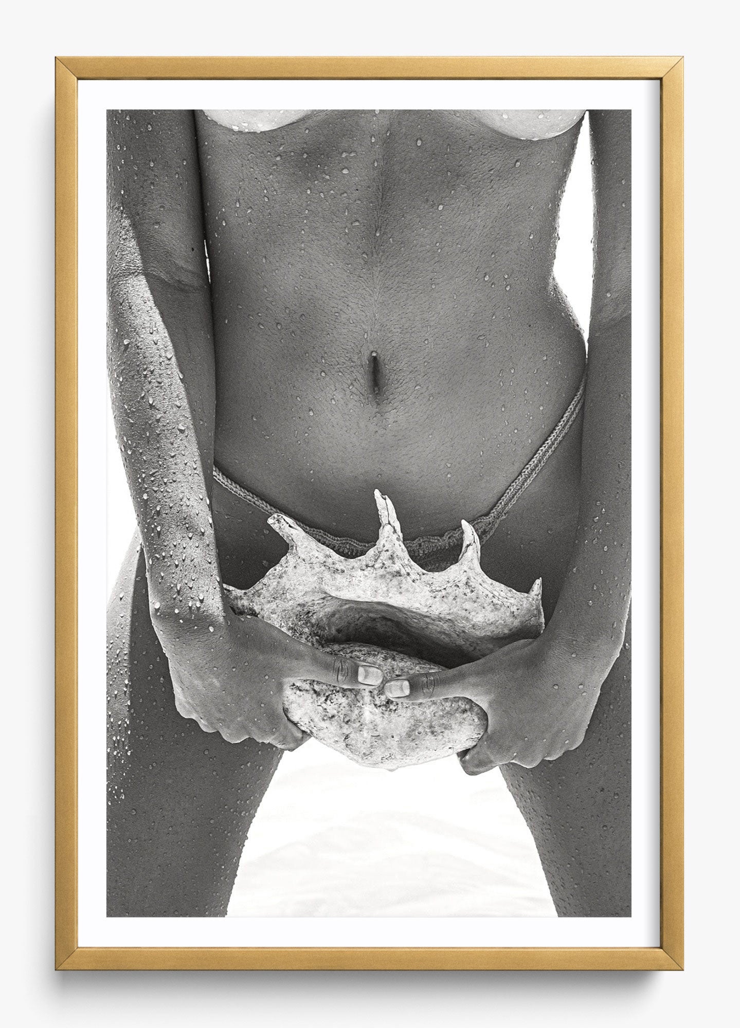 Her Seashell