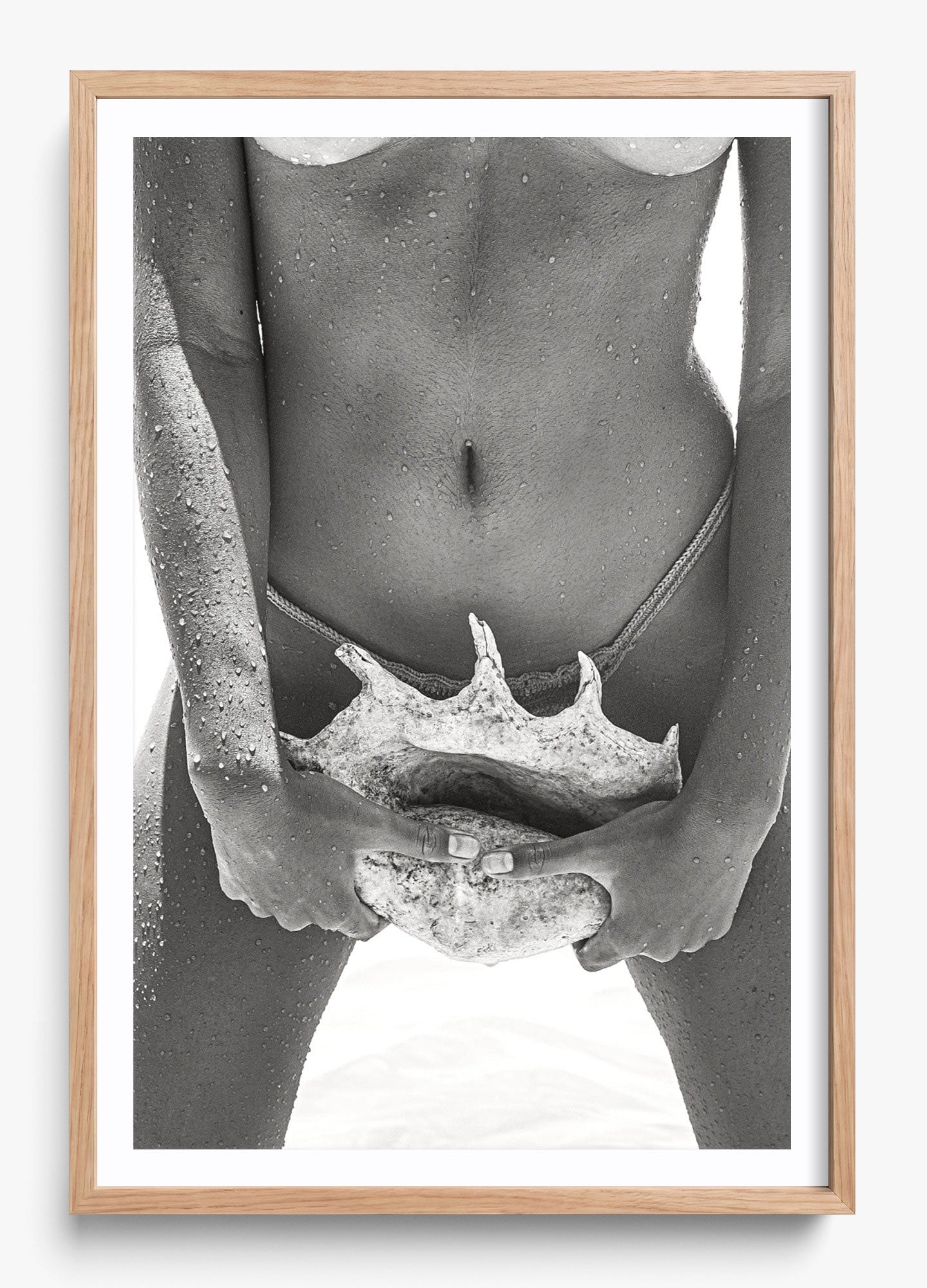 Her Seashell