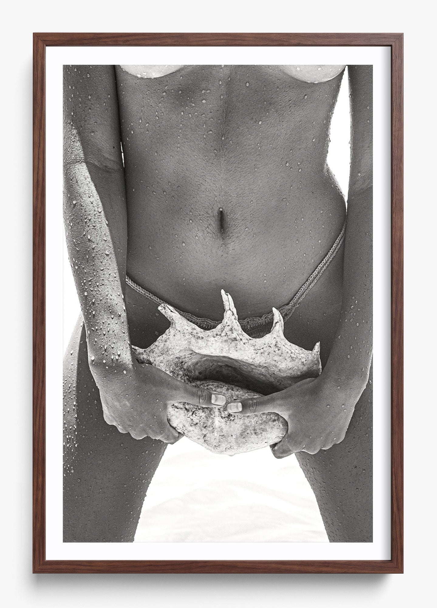 Her Seashell