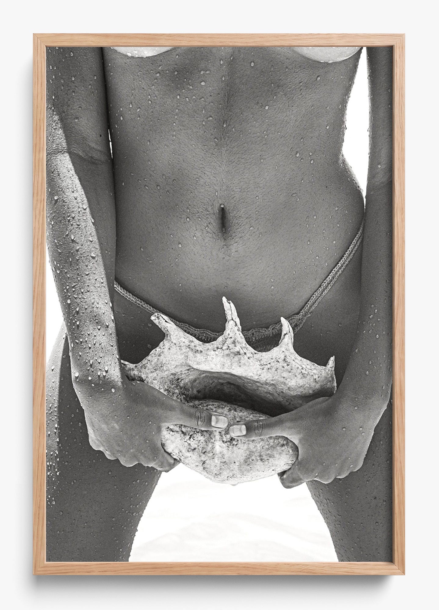 Her Seashell