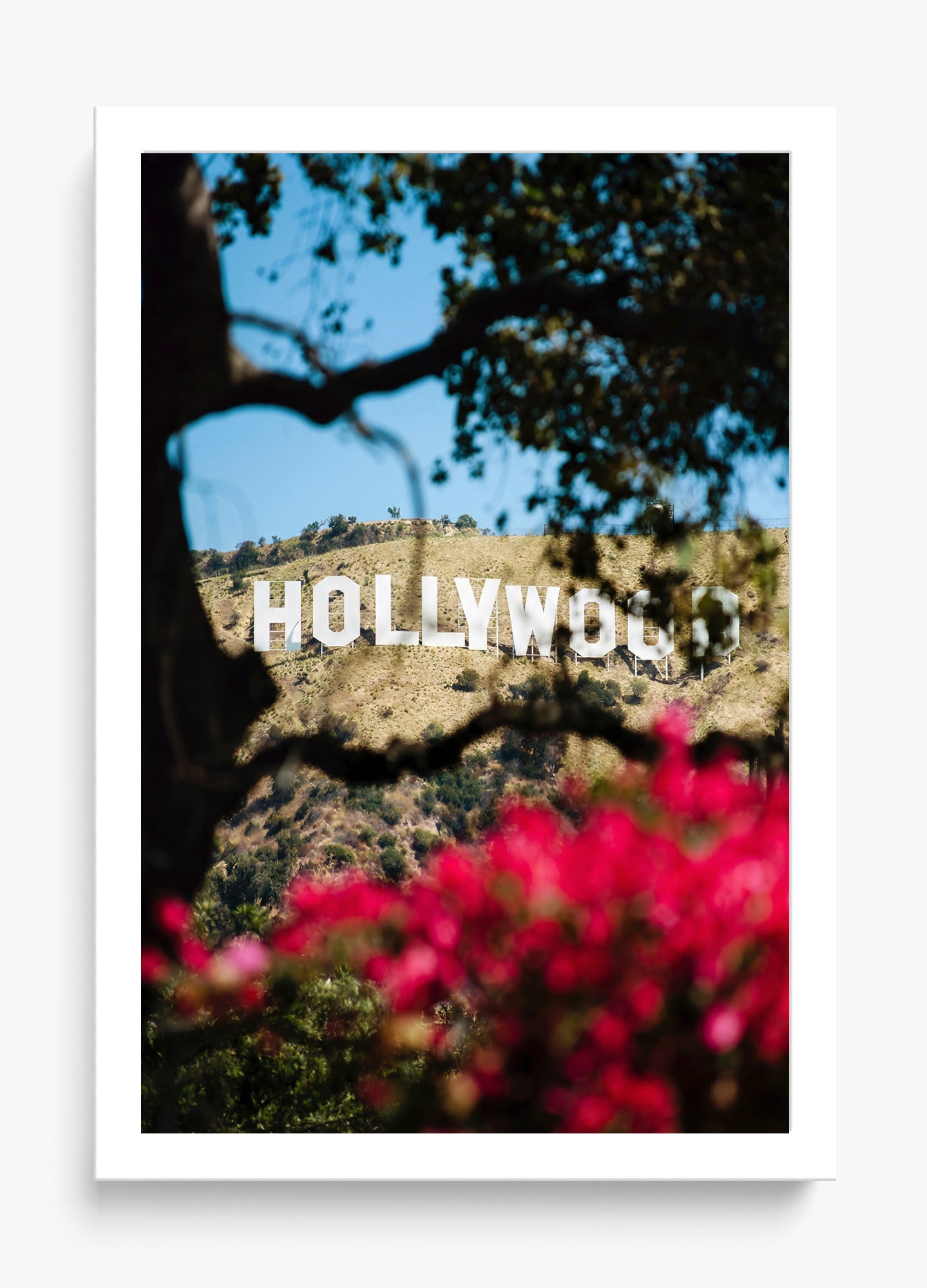 The Hollywood Dream