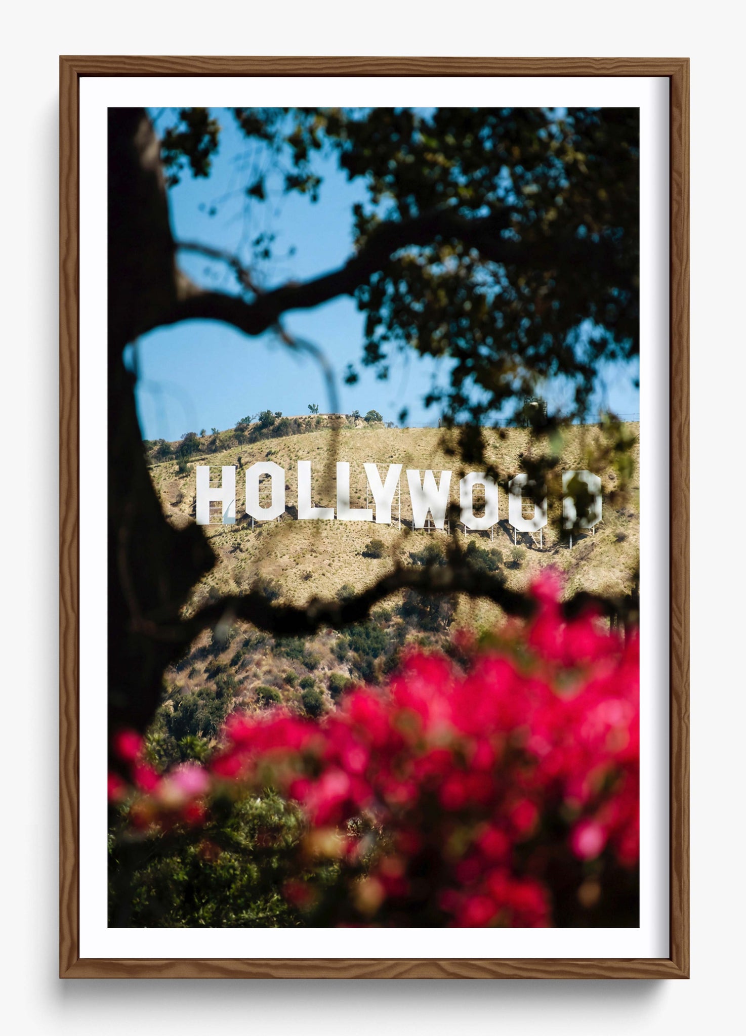The Hollywood Dream
