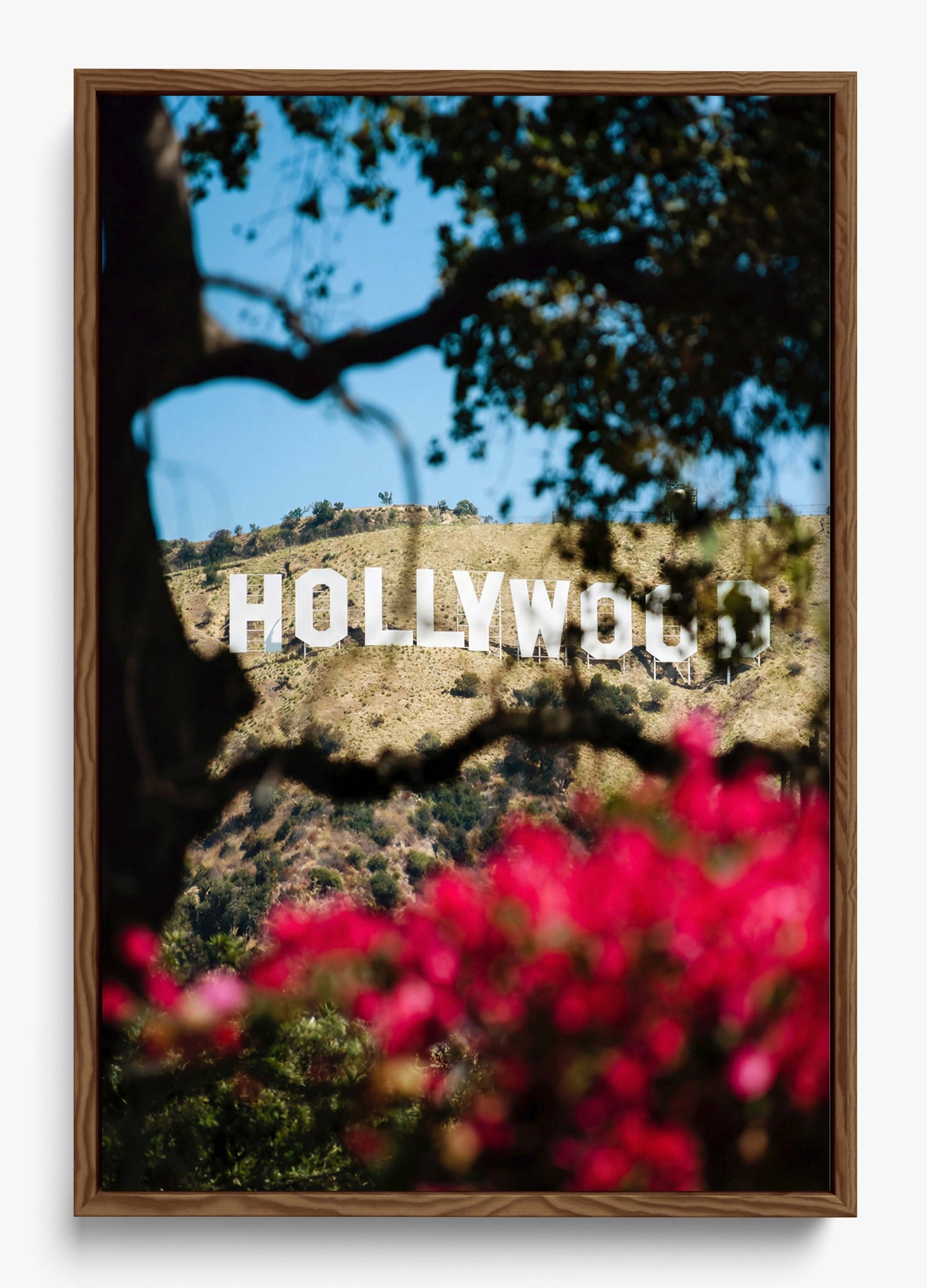 The Hollywood Dream