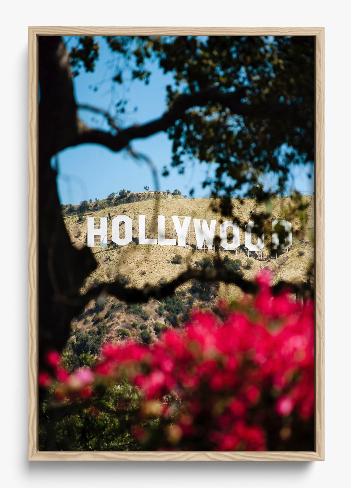 The Hollywood Dream