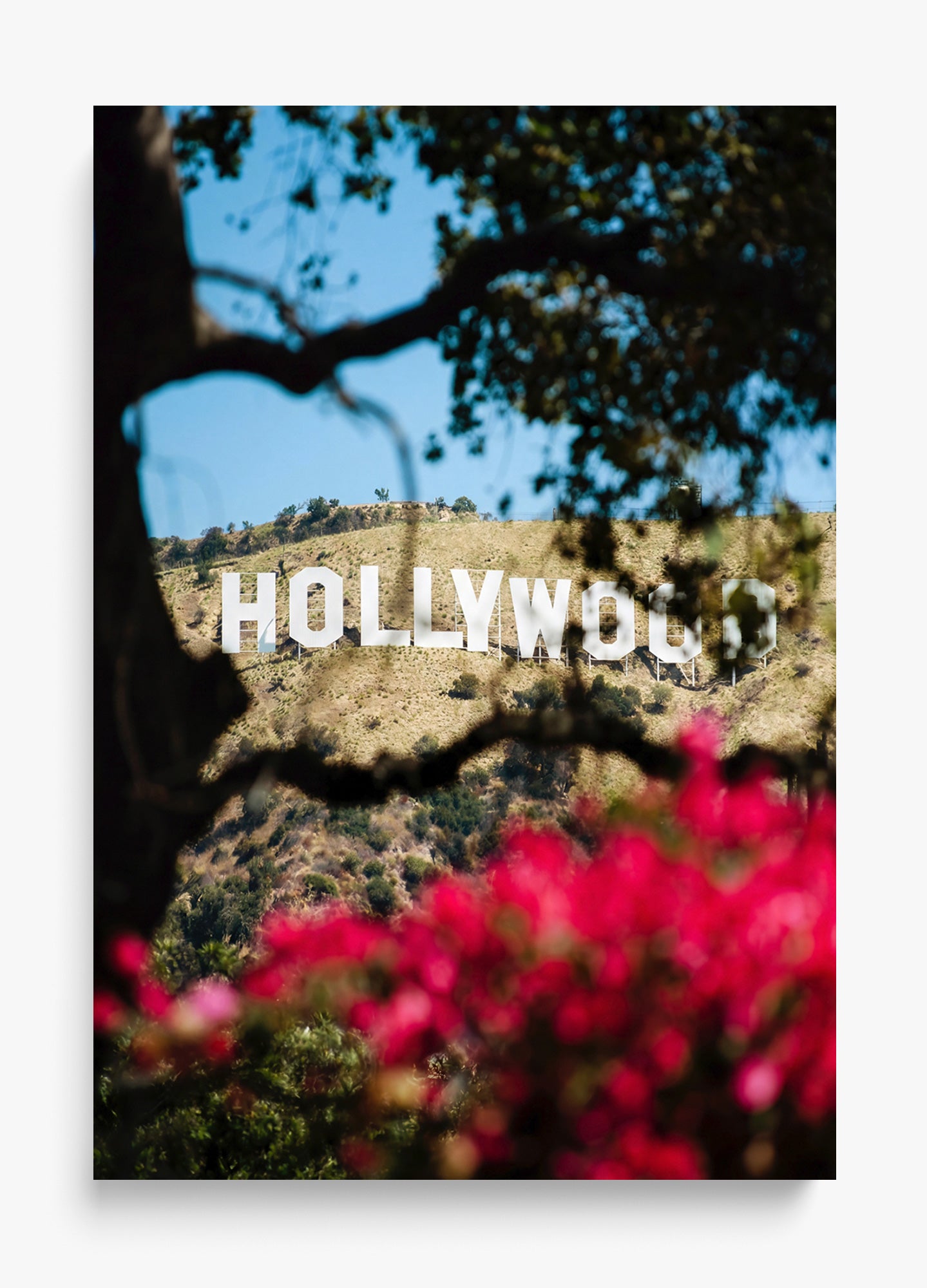 The Hollywood Dream