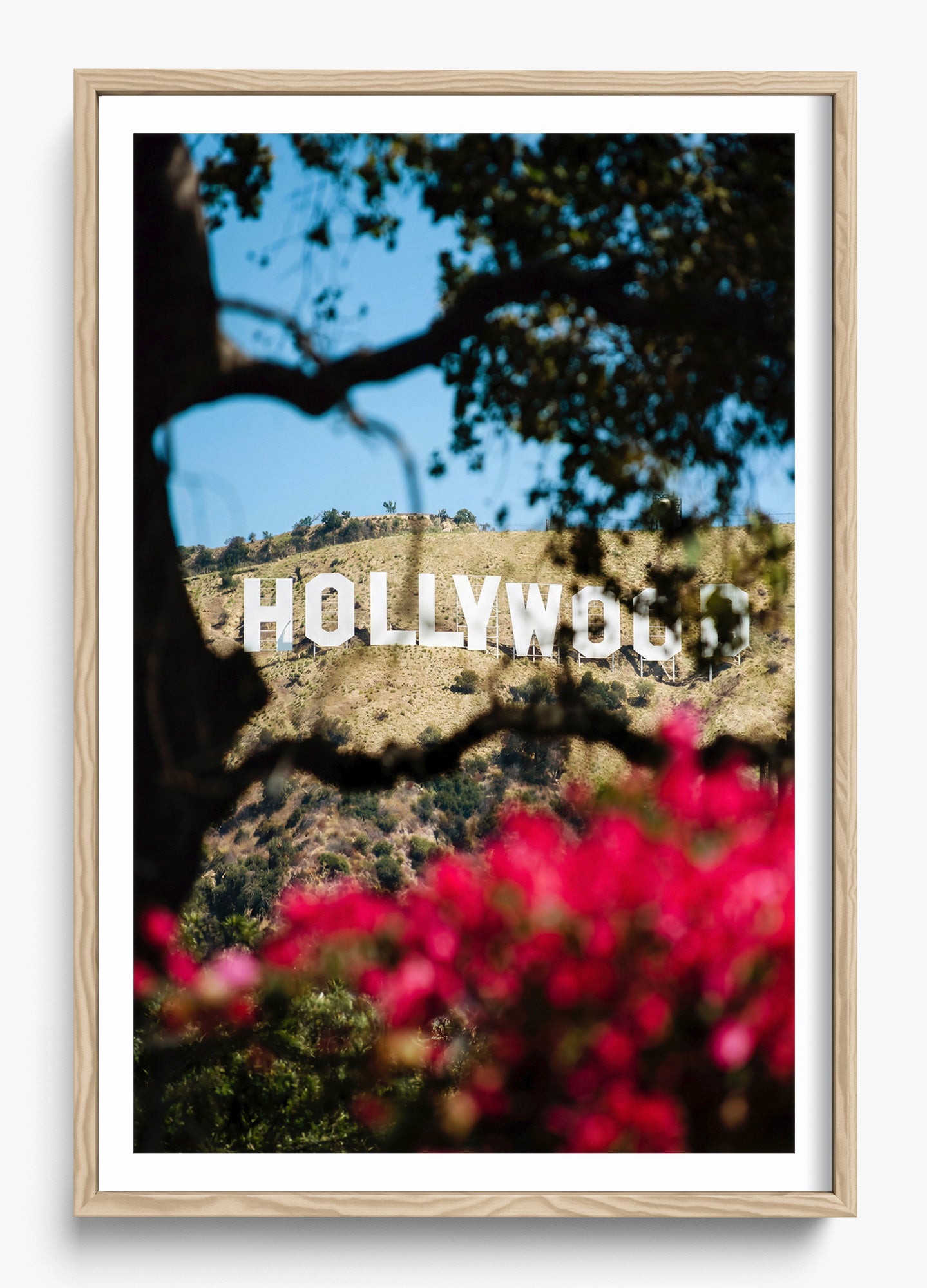 The Hollywood Dream