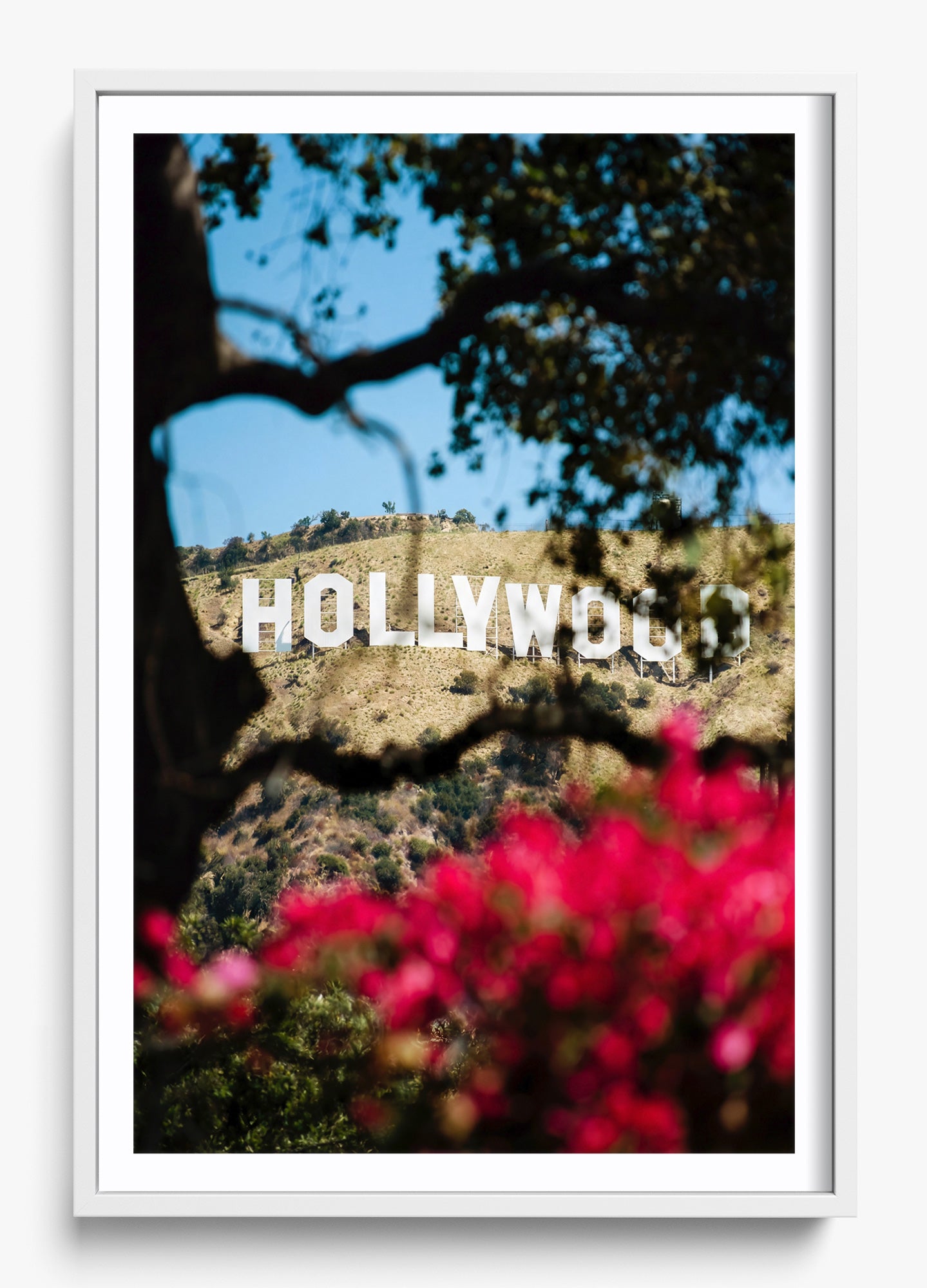 The Hollywood Dream