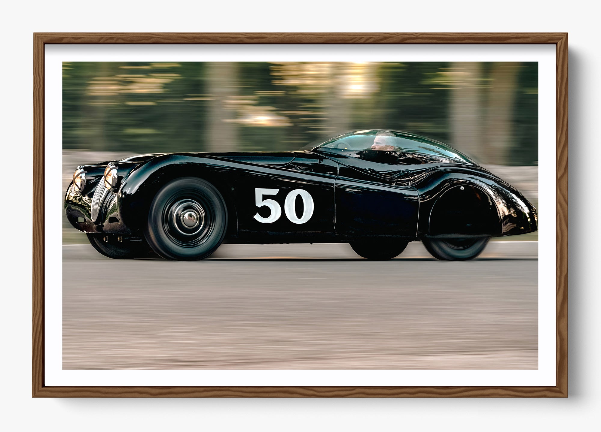 The Black Cat