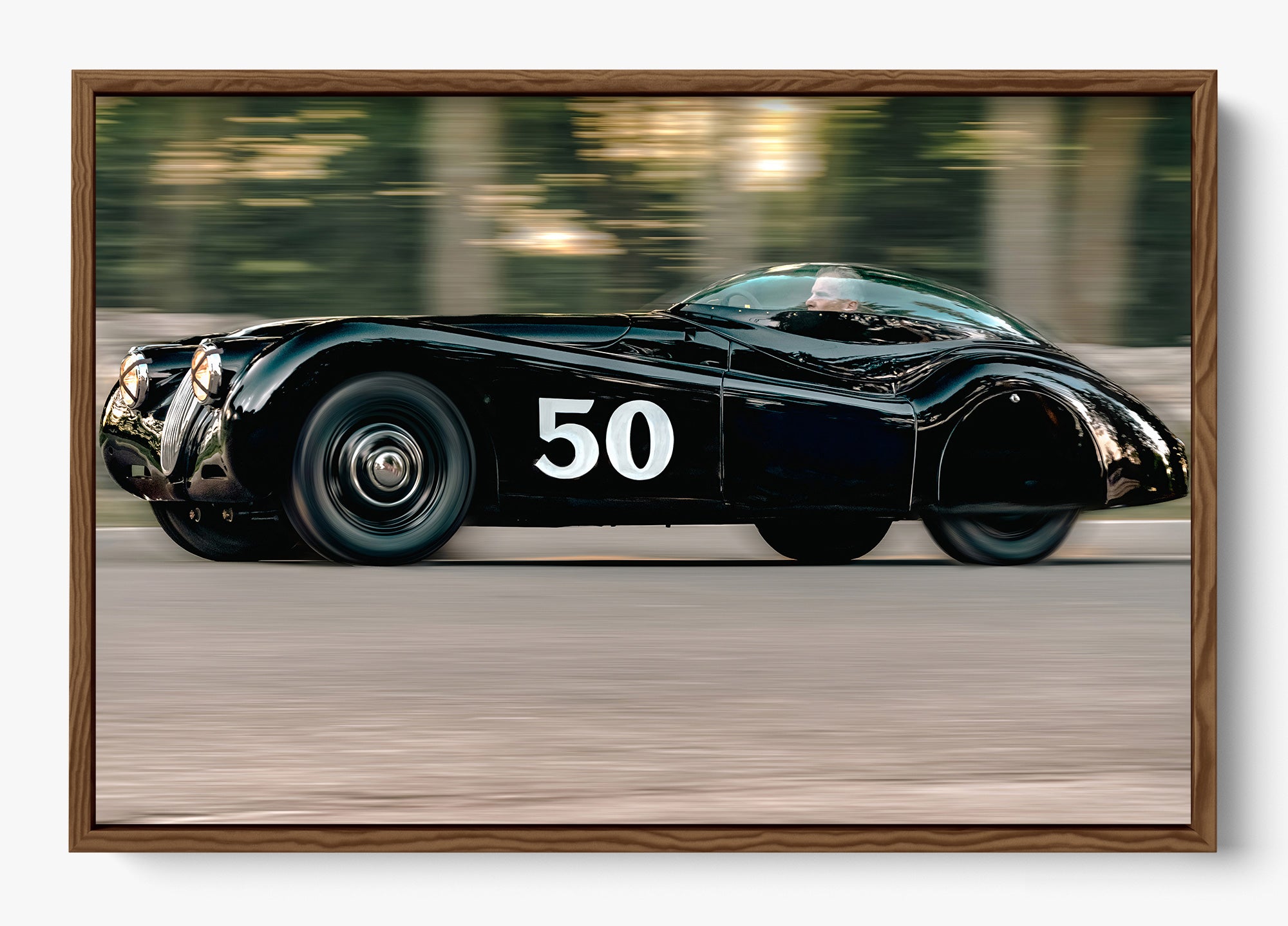 The Black Cat