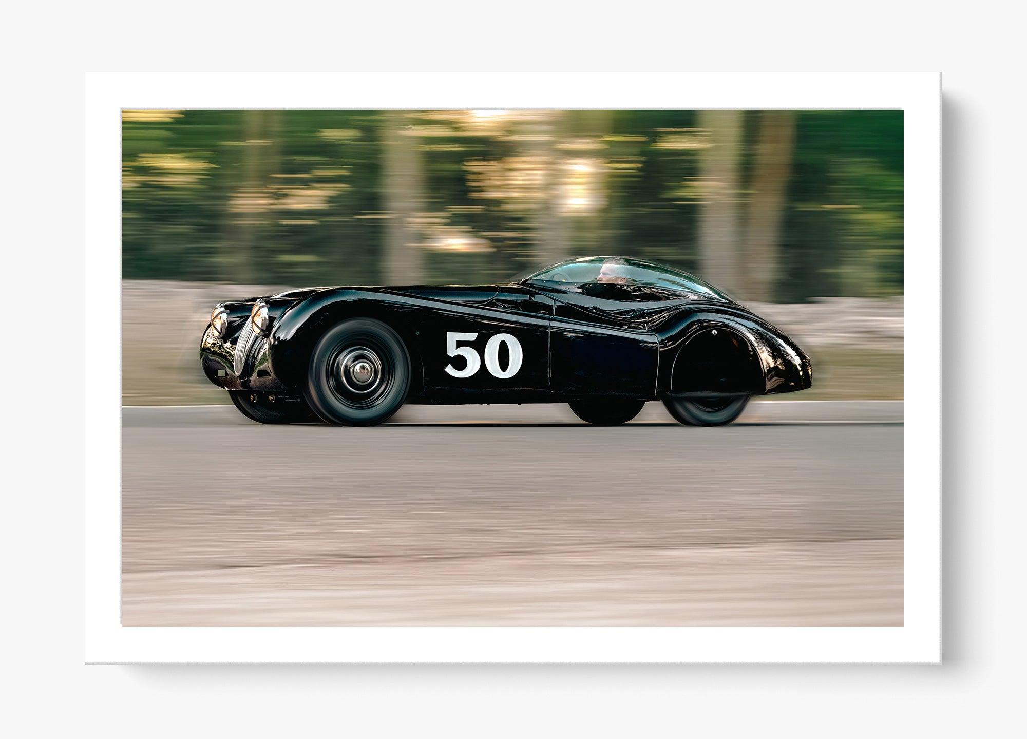 The Black Cat
