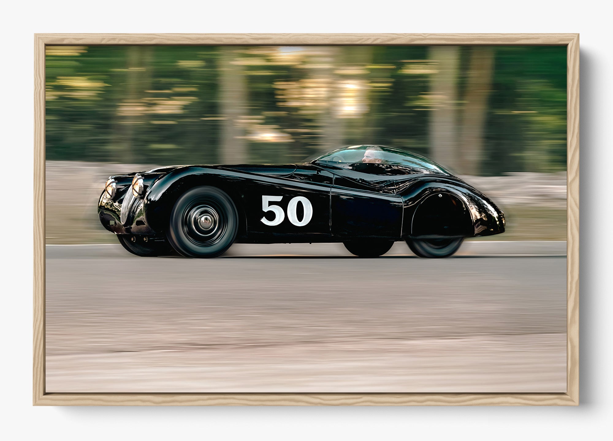 The Black Cat