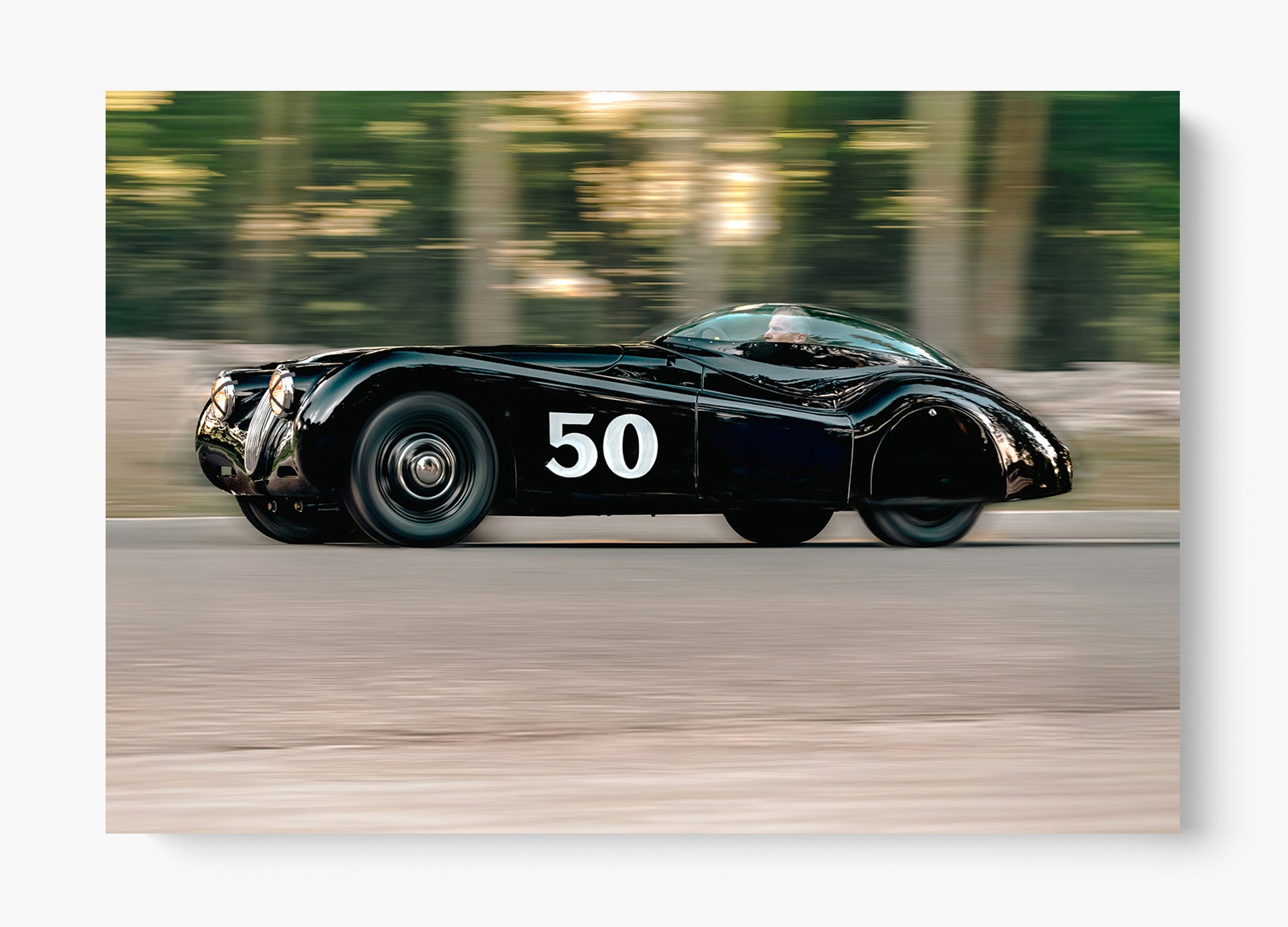 The Black Cat
