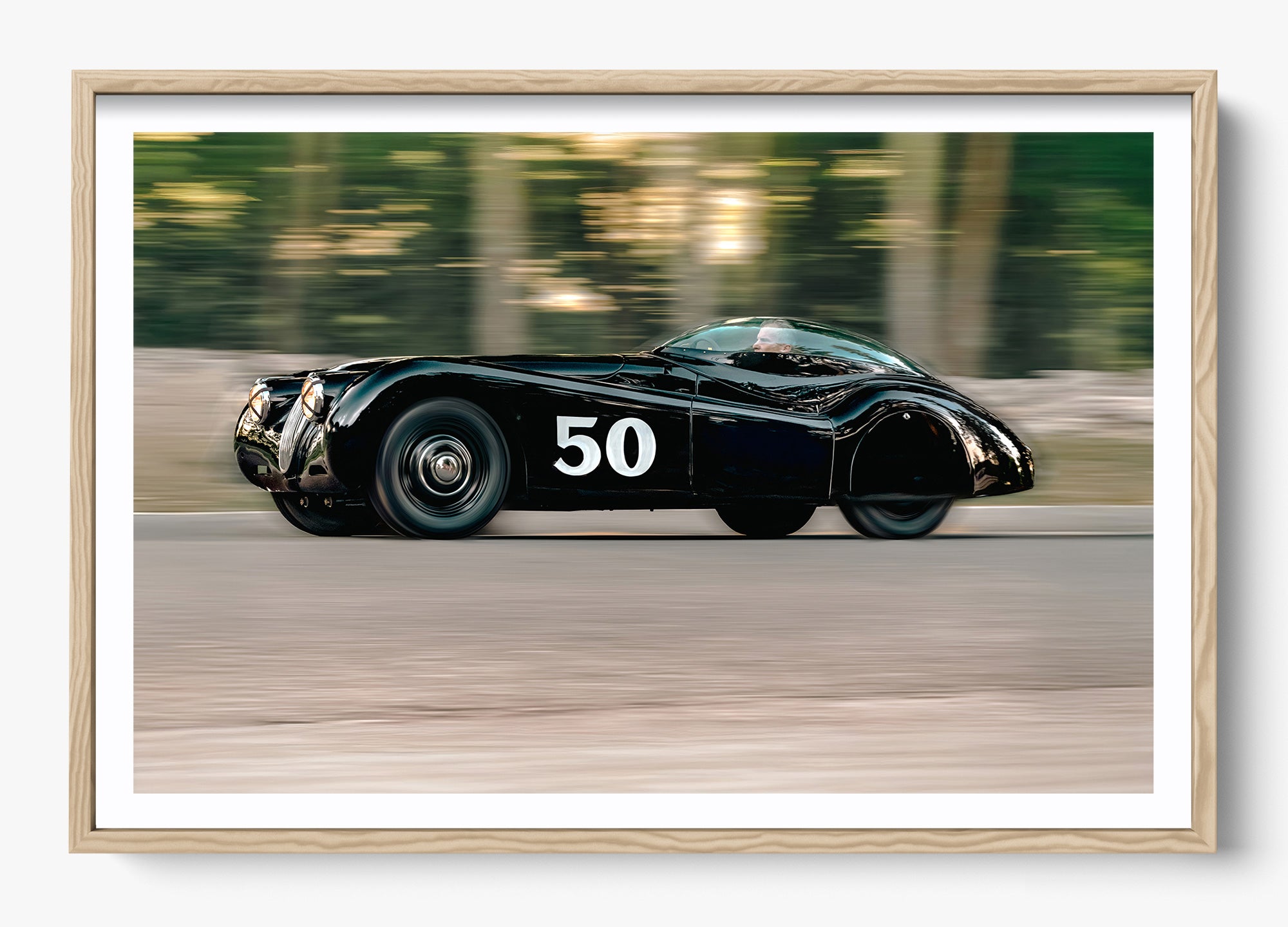 The Black Cat