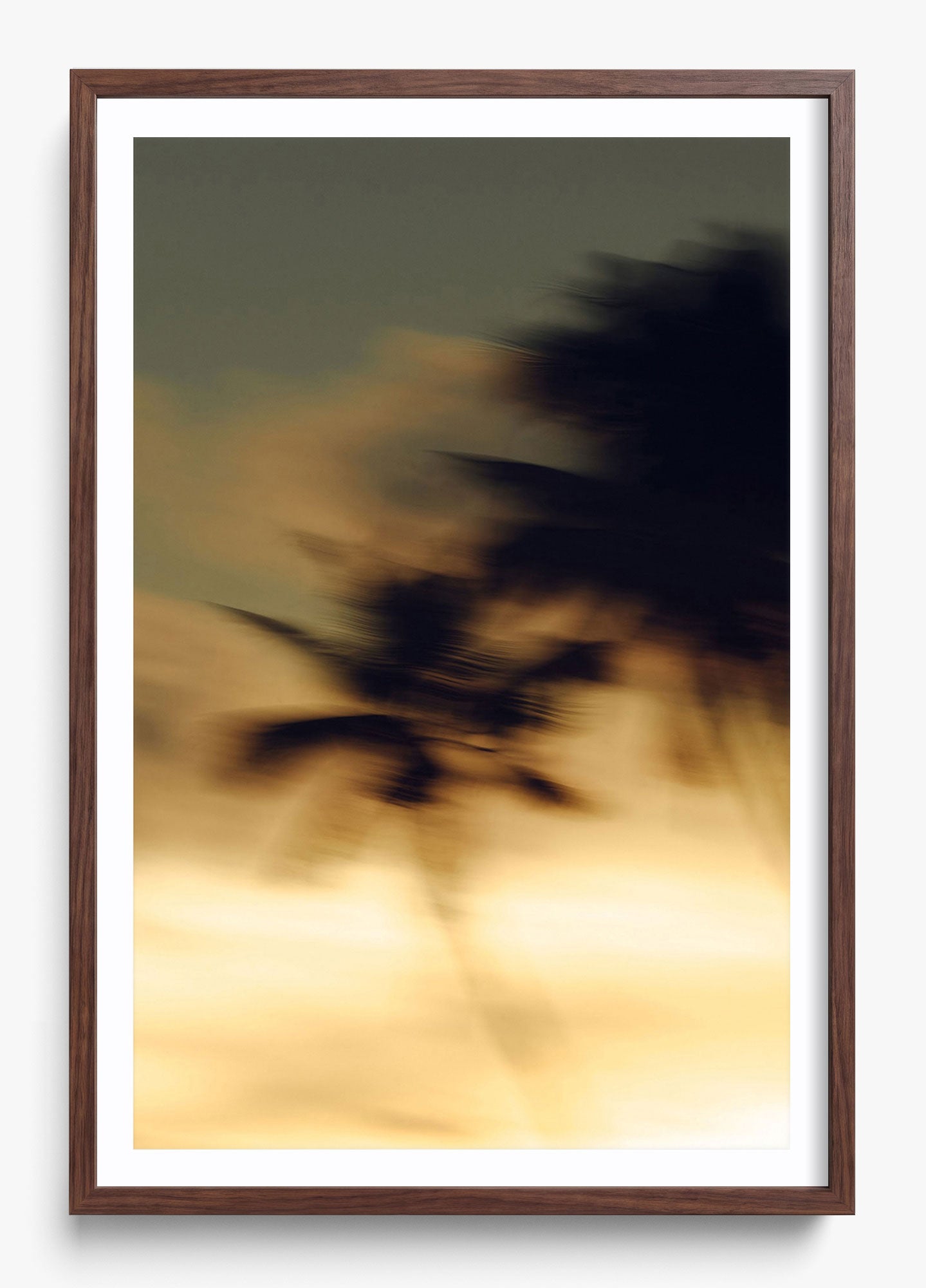 In Motion
