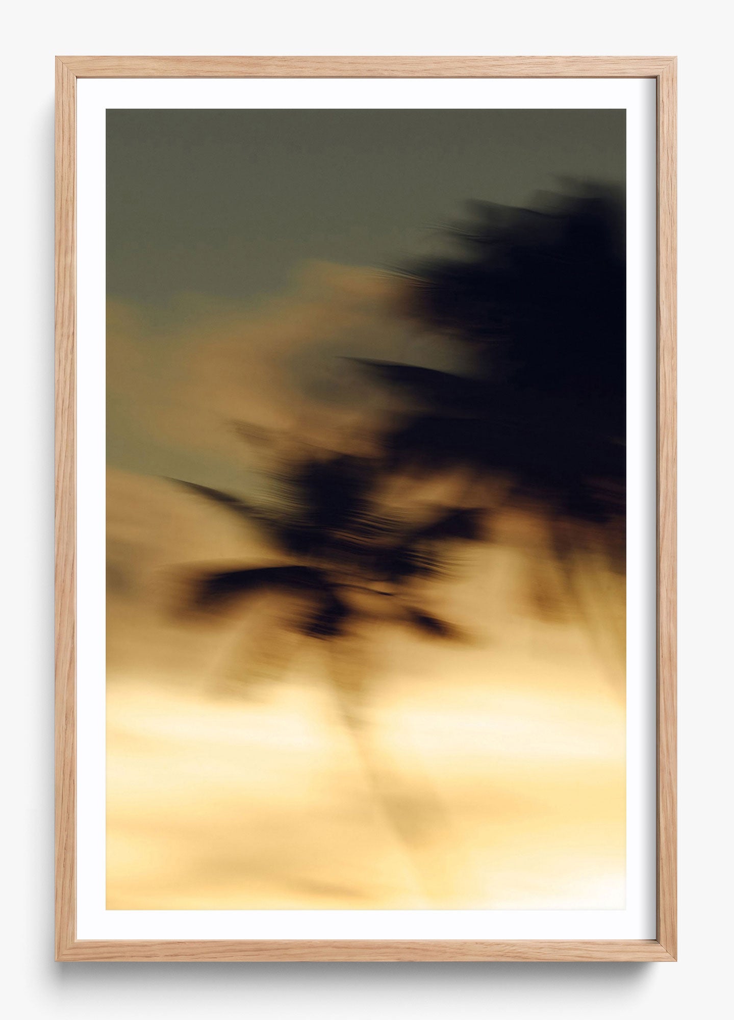 In Motion