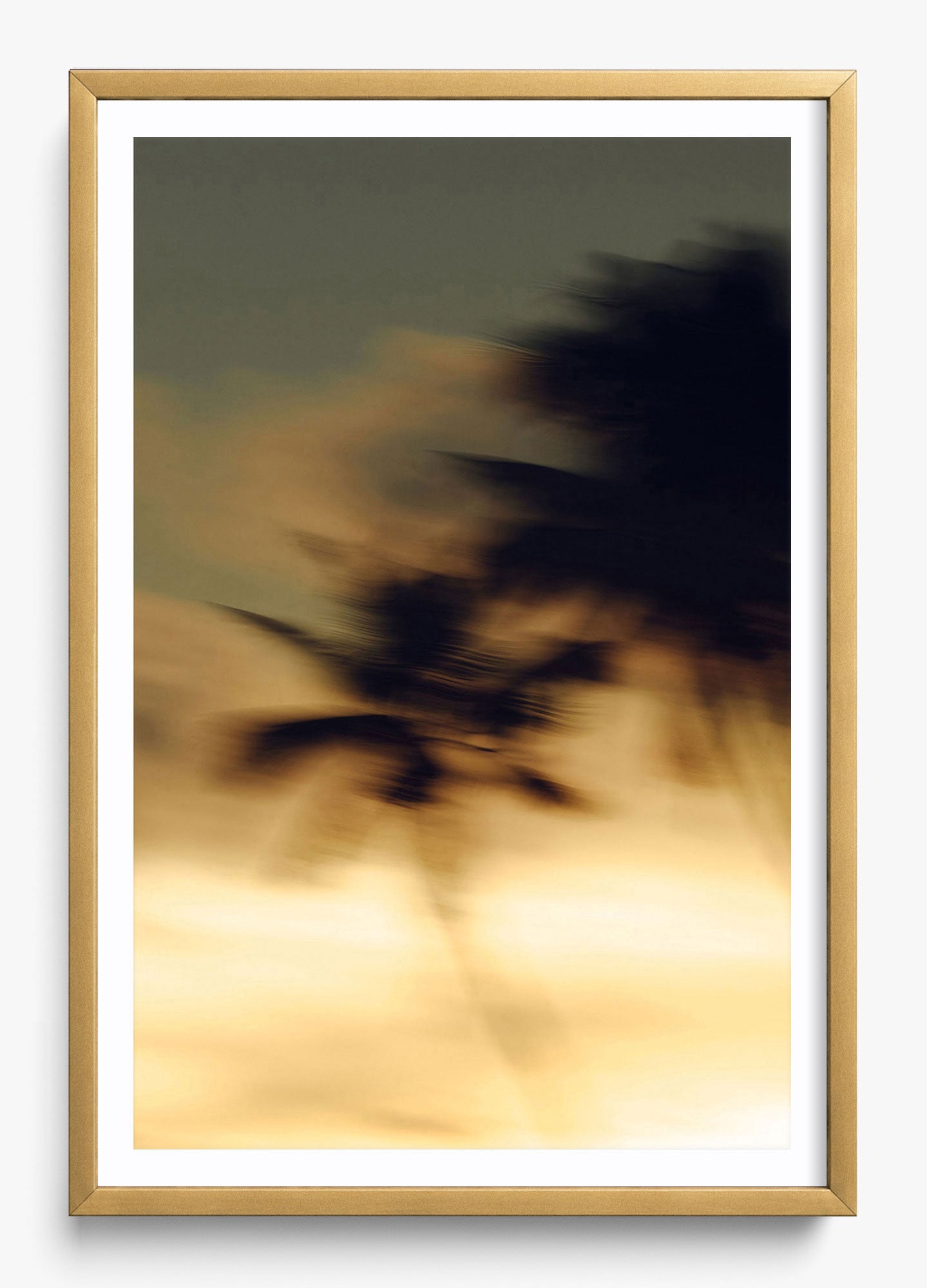 In Motion