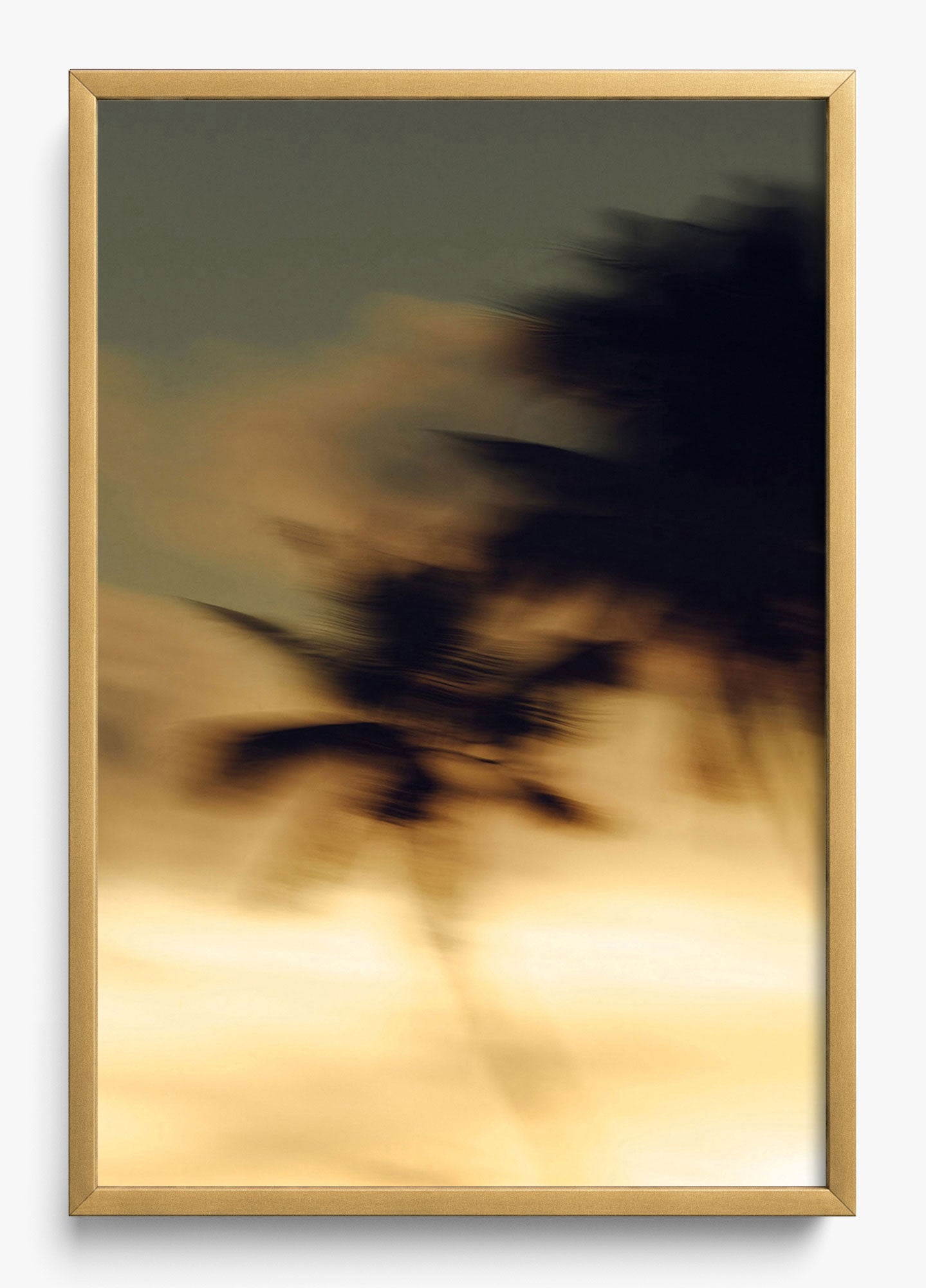In Motion