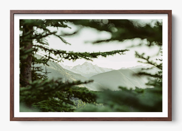 In Plain View in a Heritage Walnut frame