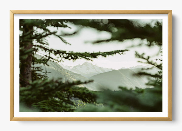 In Plain View in a Gold frame