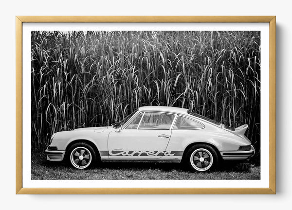 In The Weeds in a Gold frame