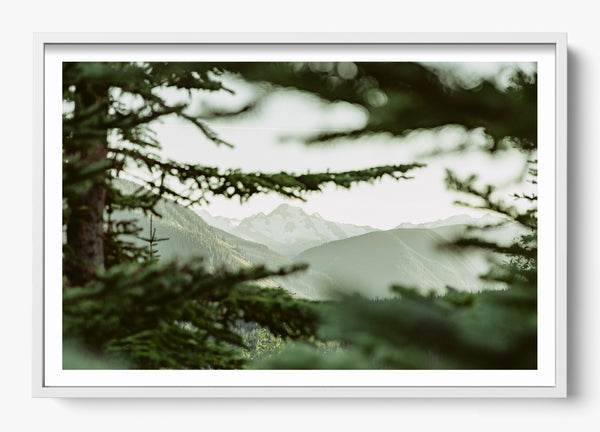 In Plain View in a White frame