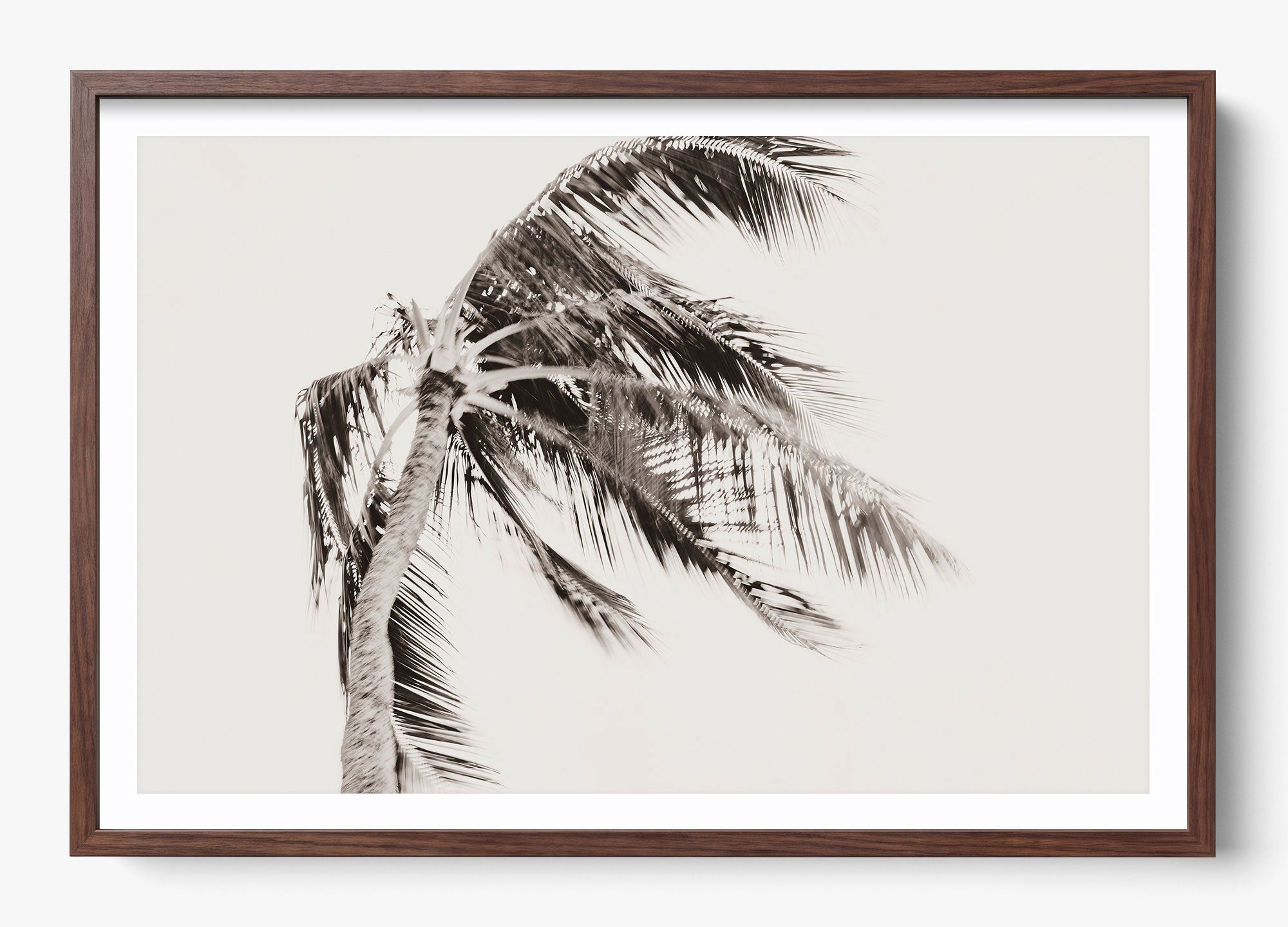 Island Breeze
