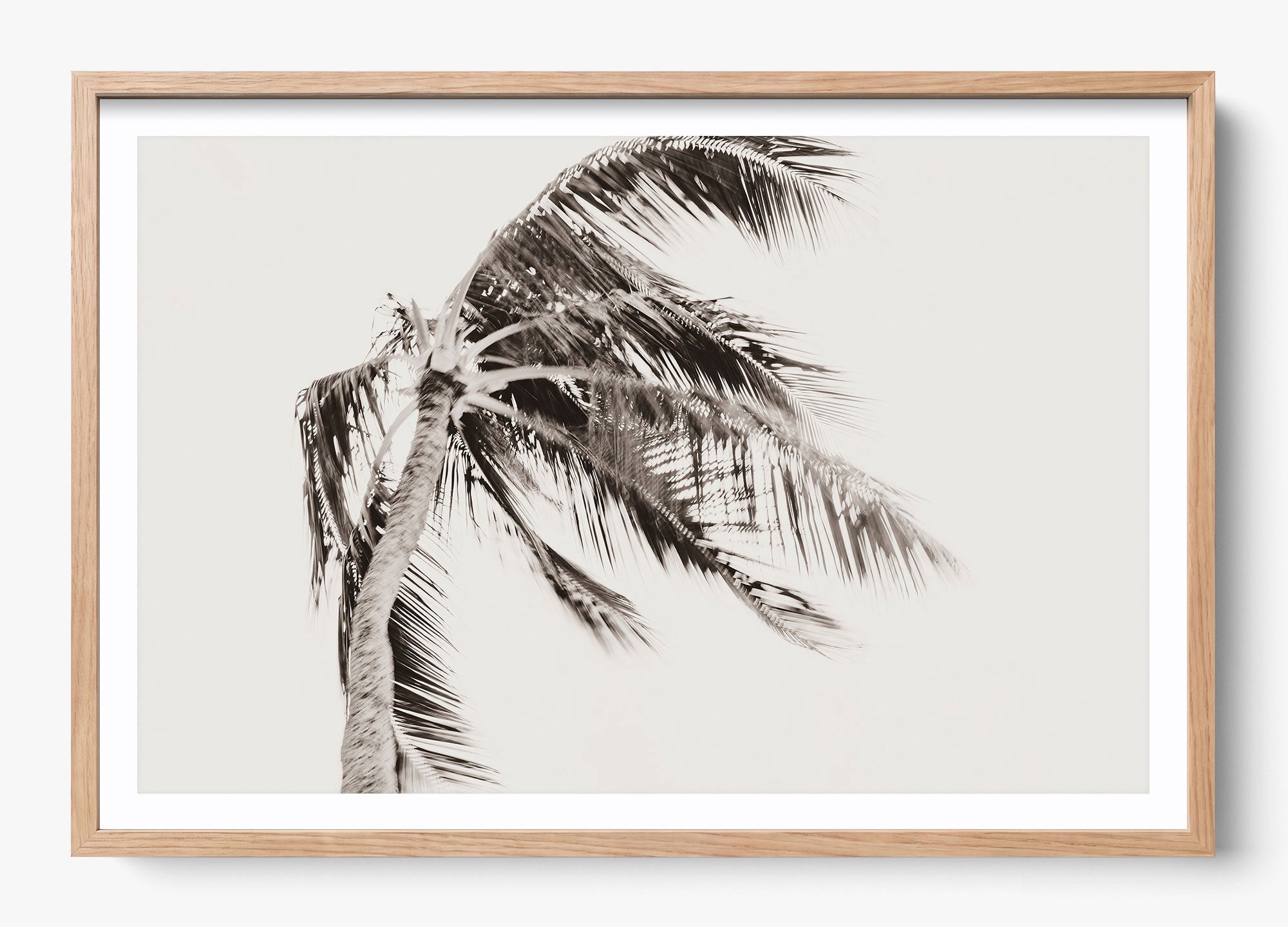 Island Breeze