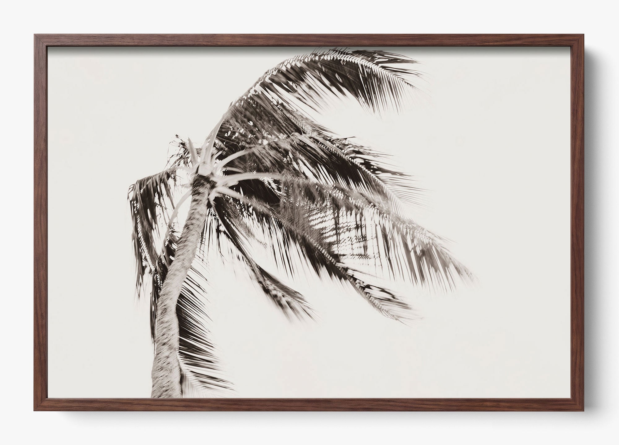 Island Breeze