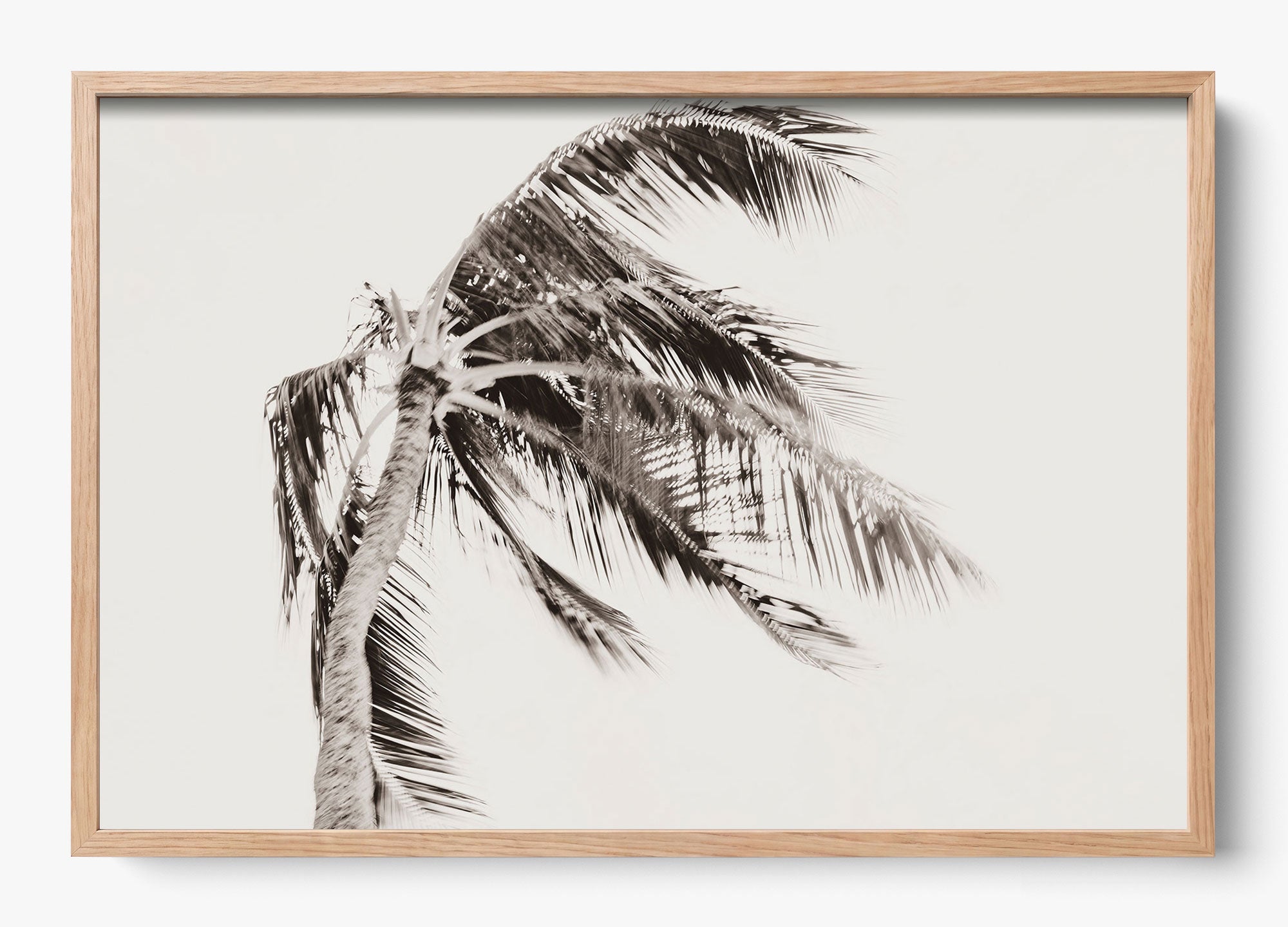 Island Breeze