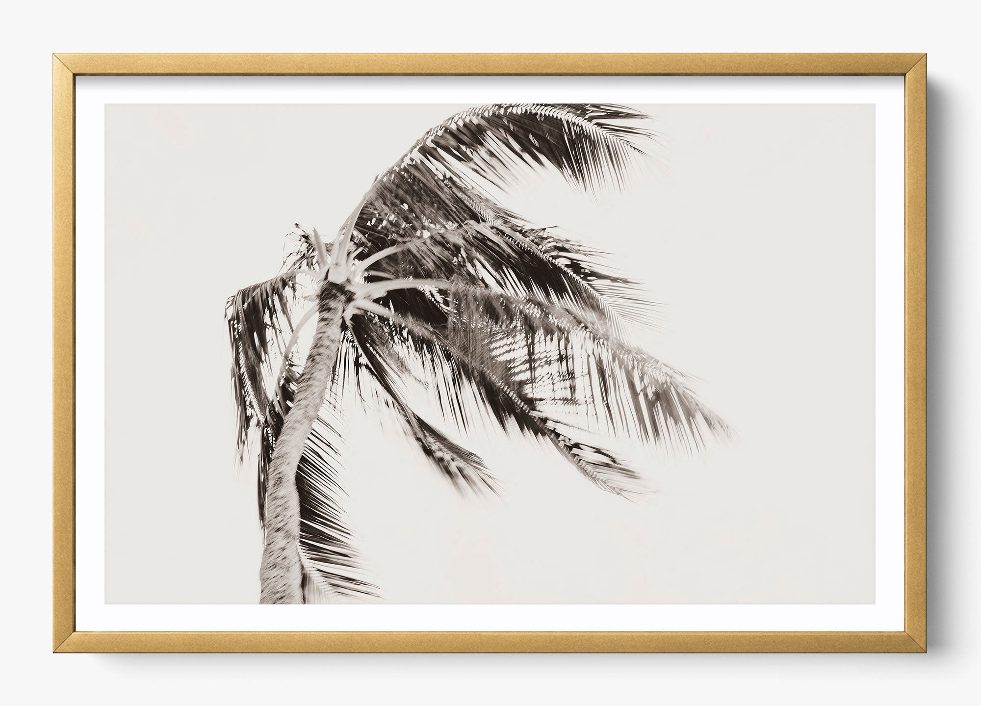 Island Breeze