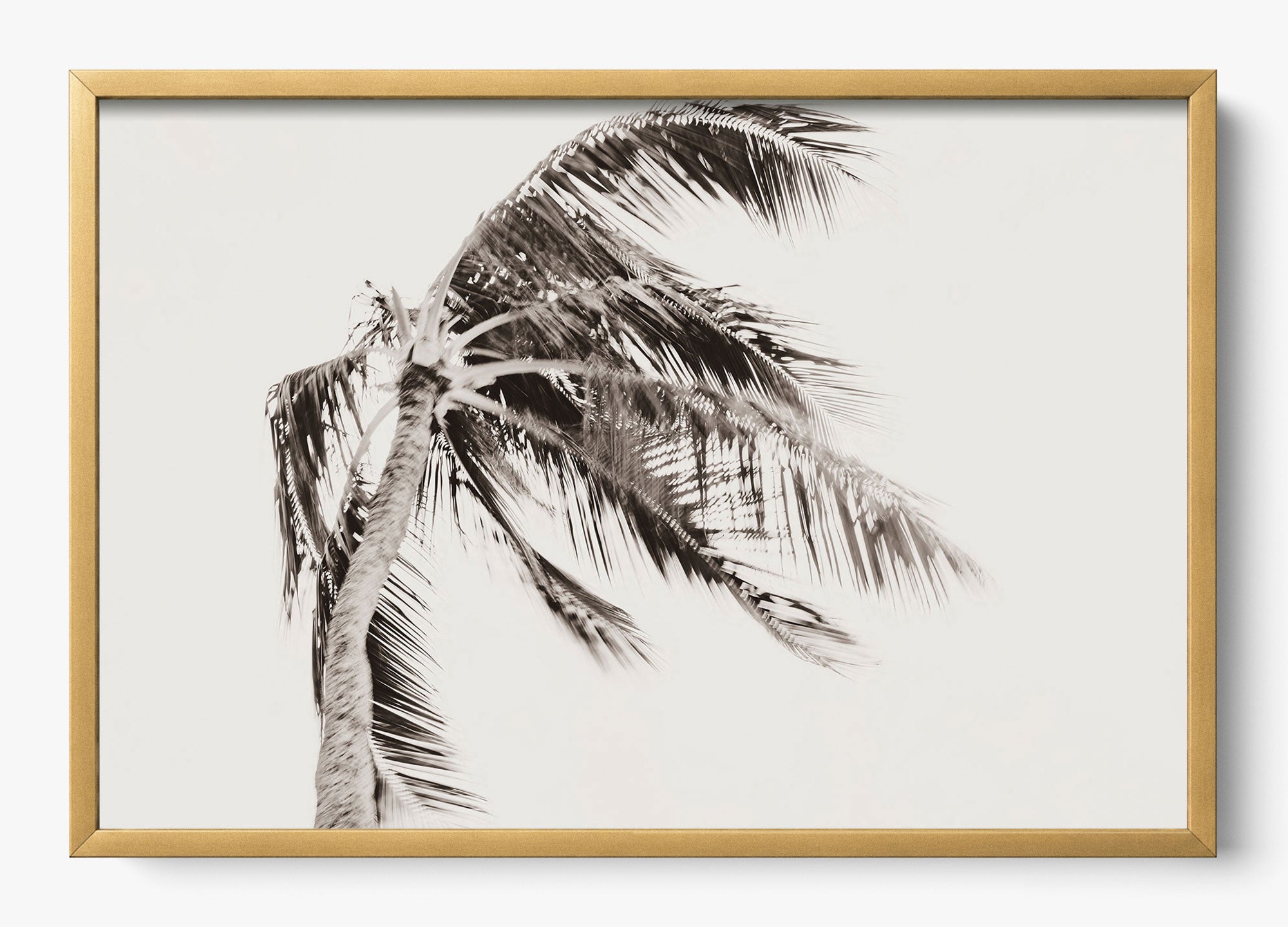Island Breeze