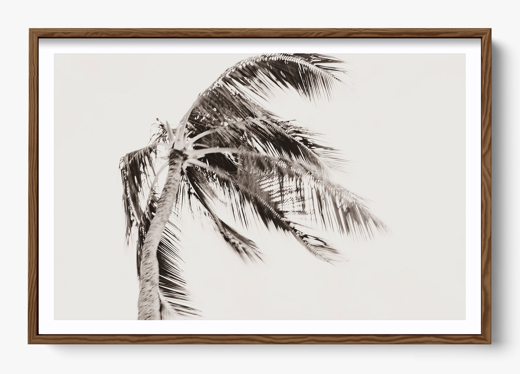 Island Breeze
