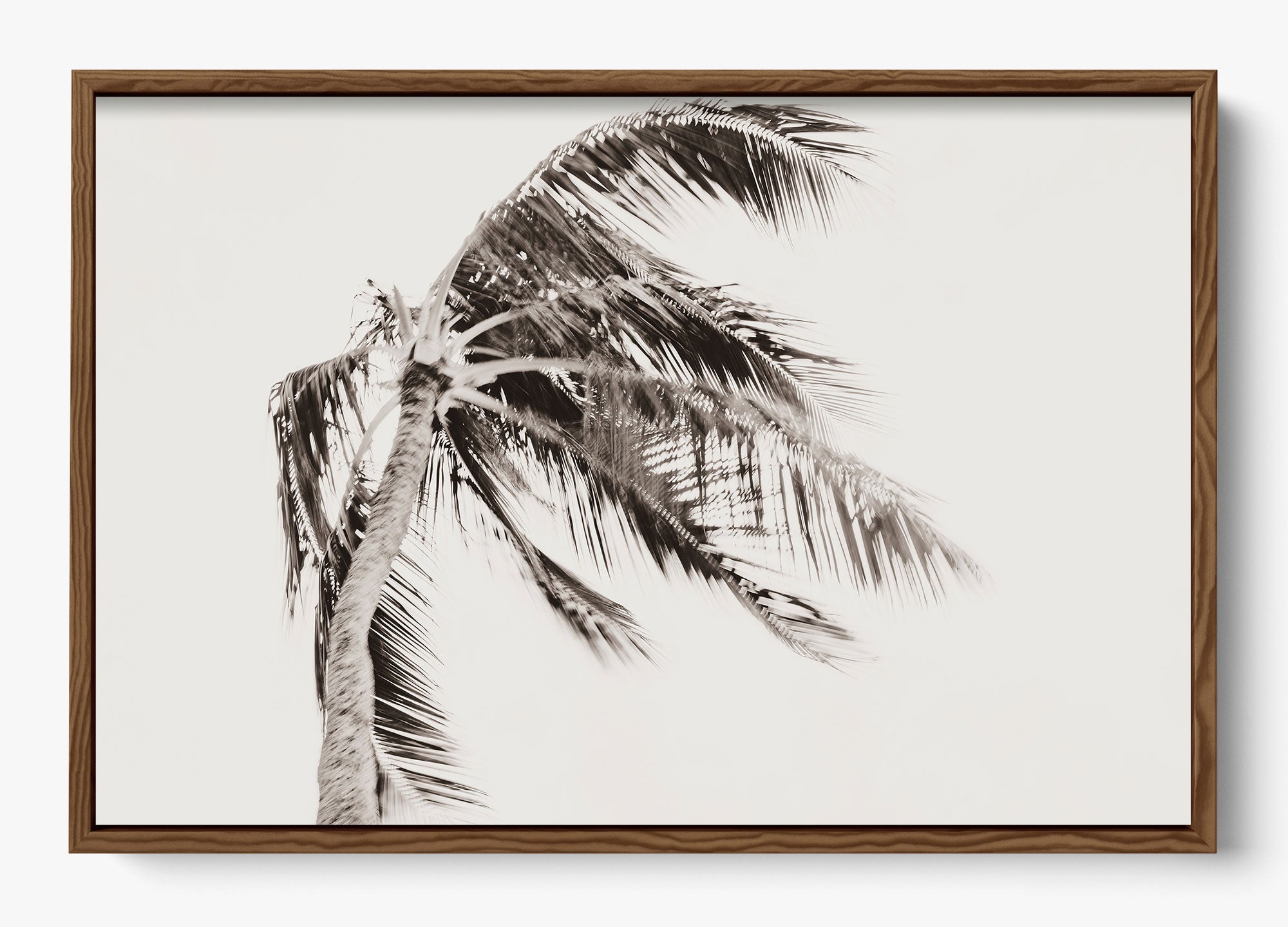 Island Breeze