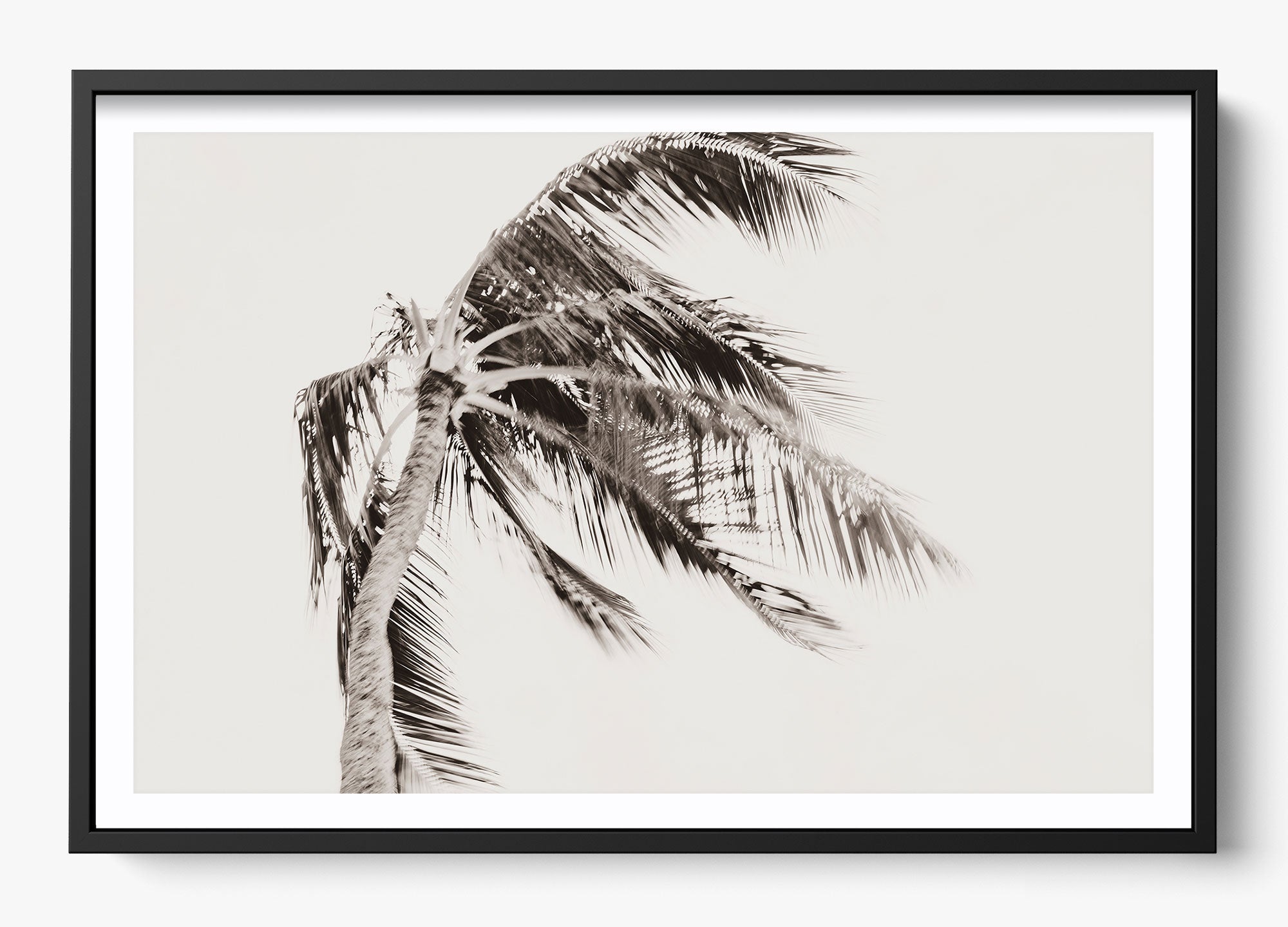 Island Breeze