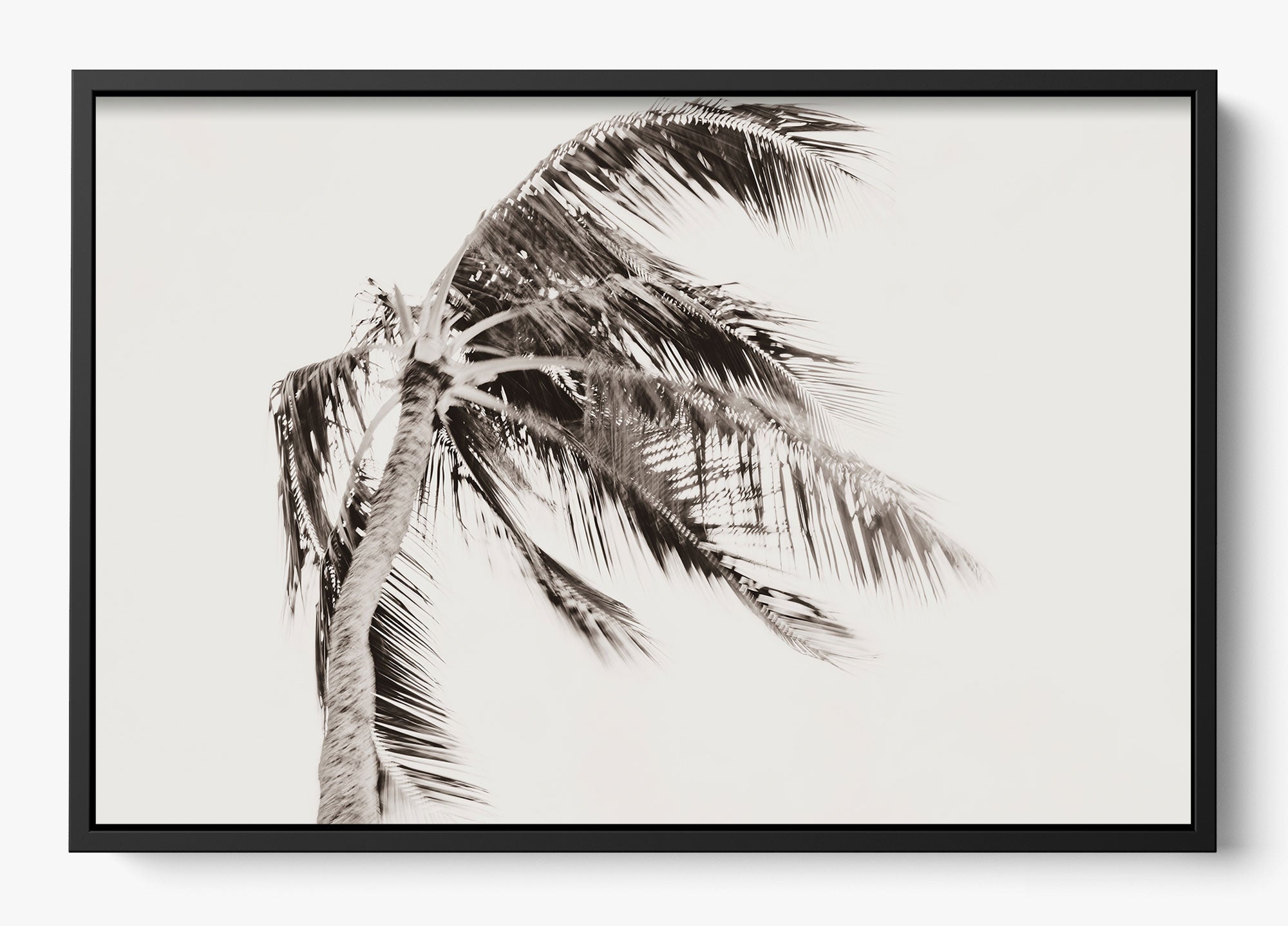 Island Breeze