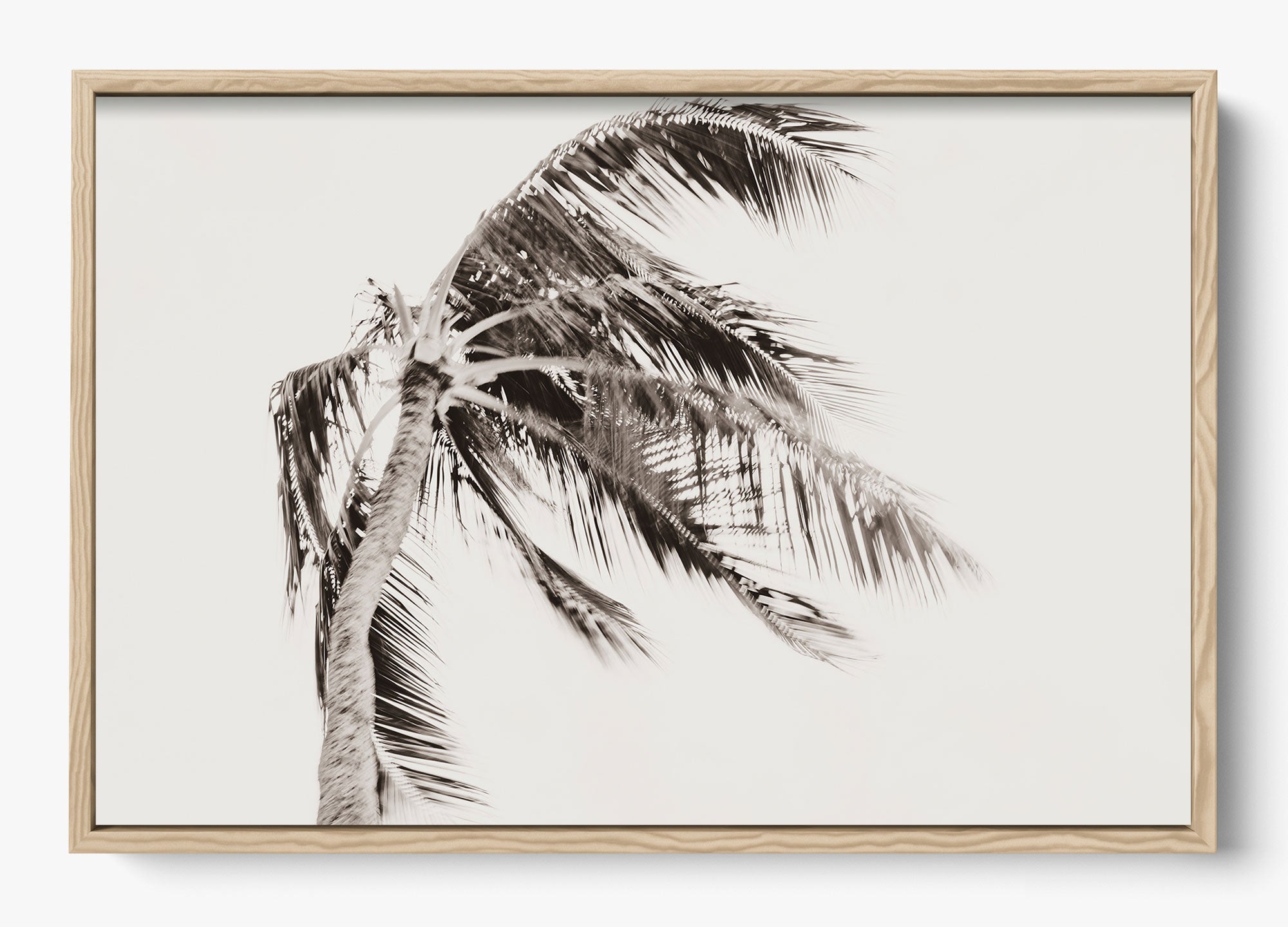 Island Breeze