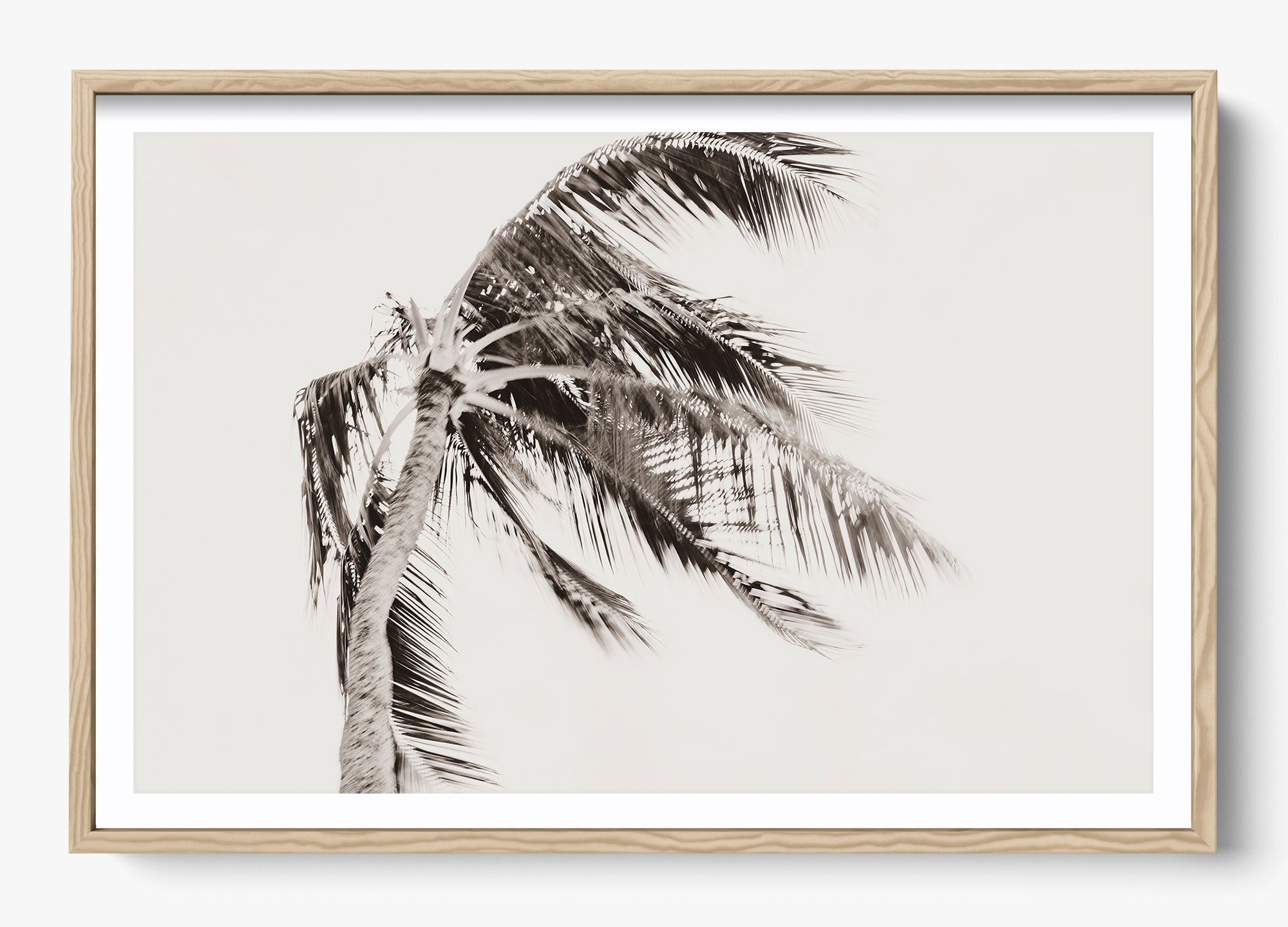 Island Breeze
