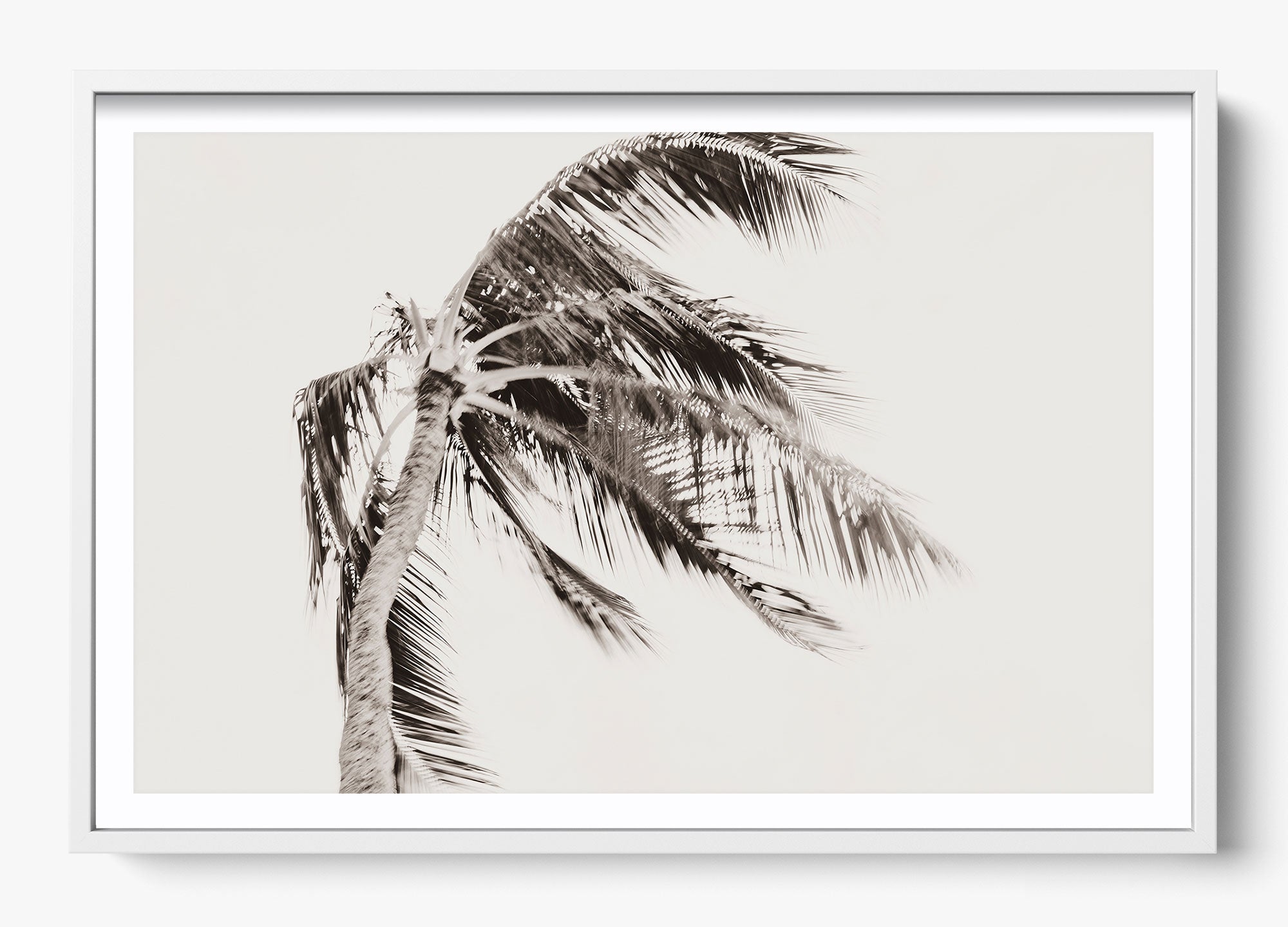 Island Breeze