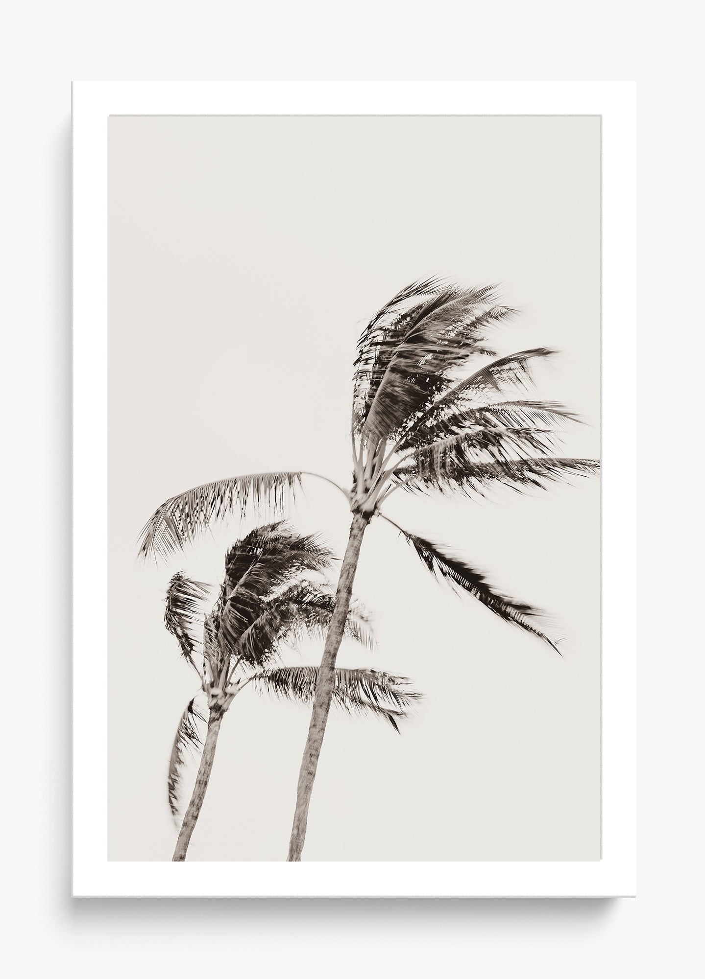 Island Breezy