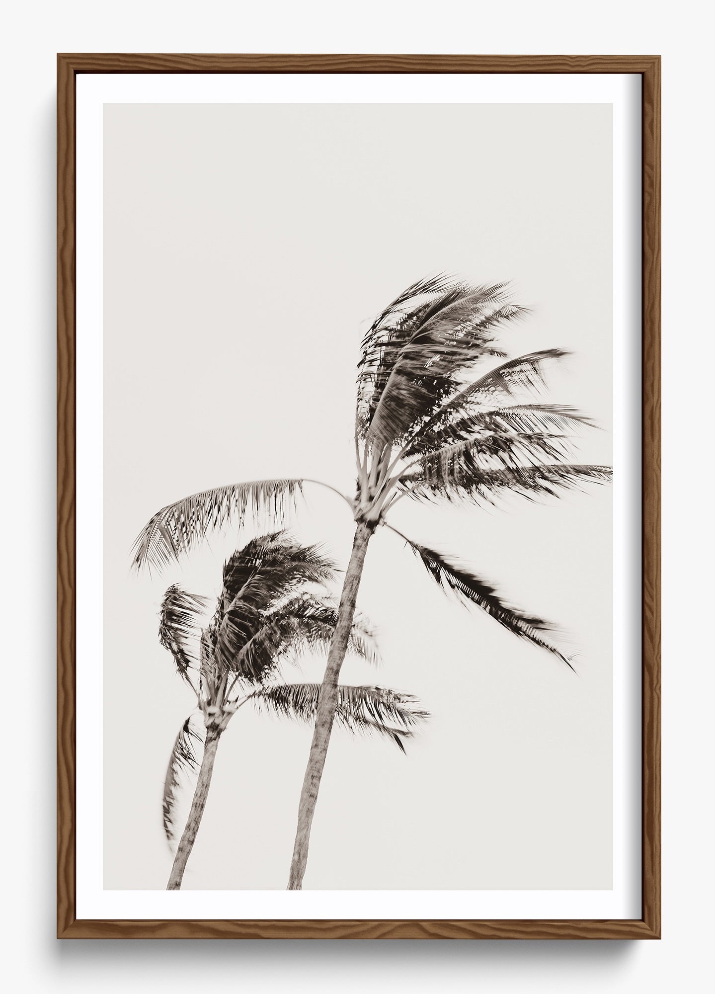 Island Breezy
