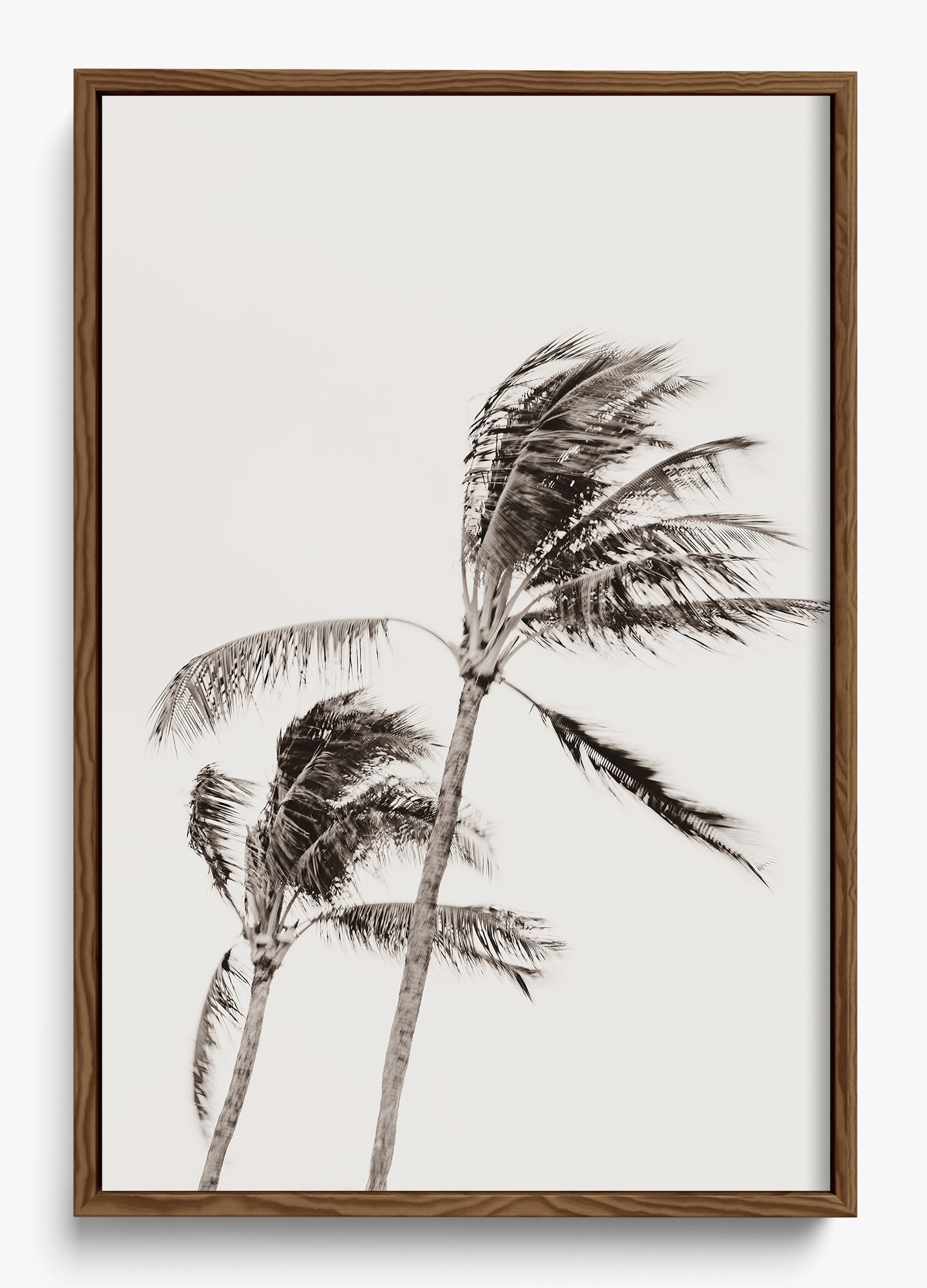 Island Breezy