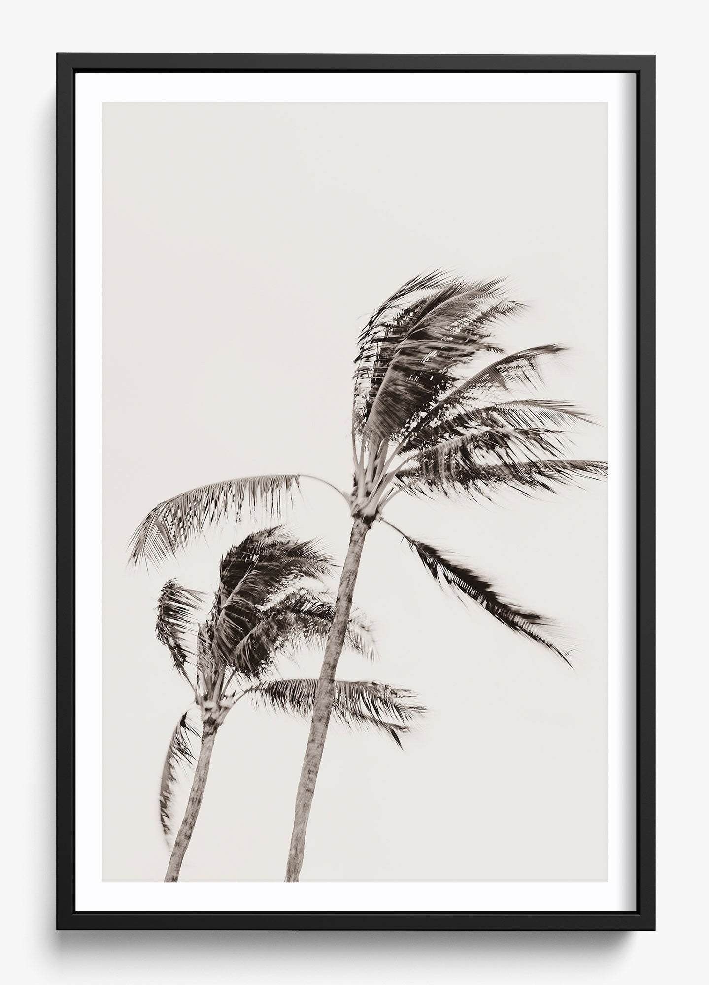 Island Breezy
