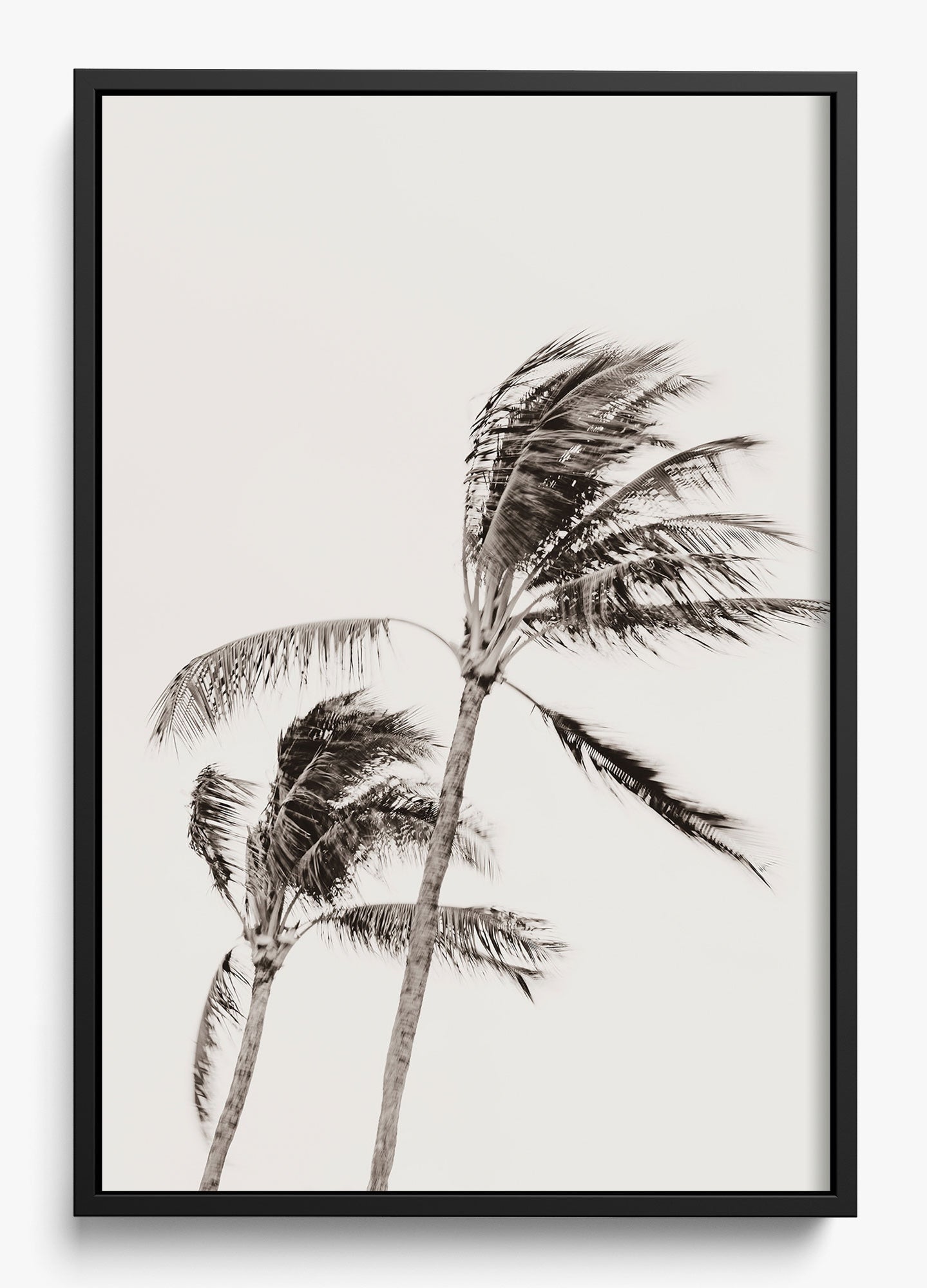 Island Breezy