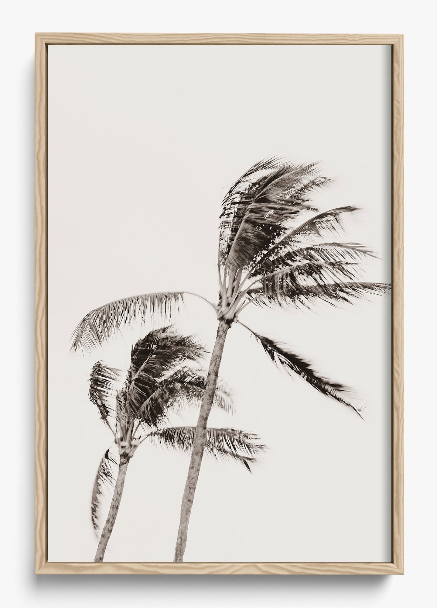Island Breezy