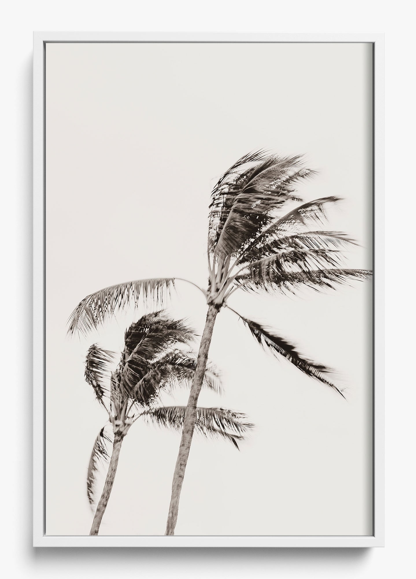 Island Breezy