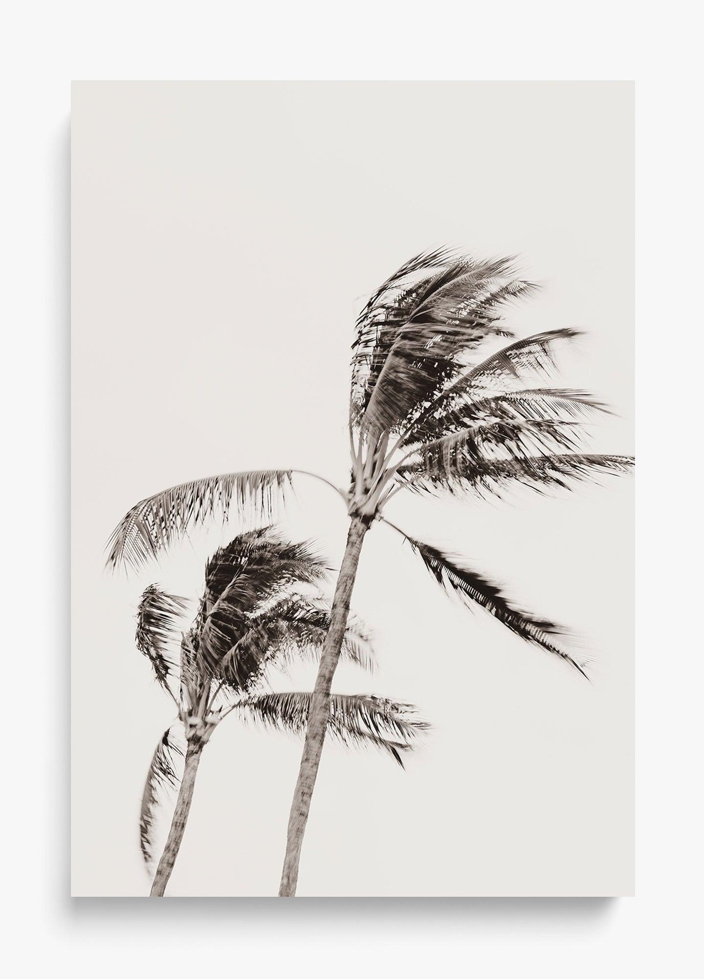 Island Breezy